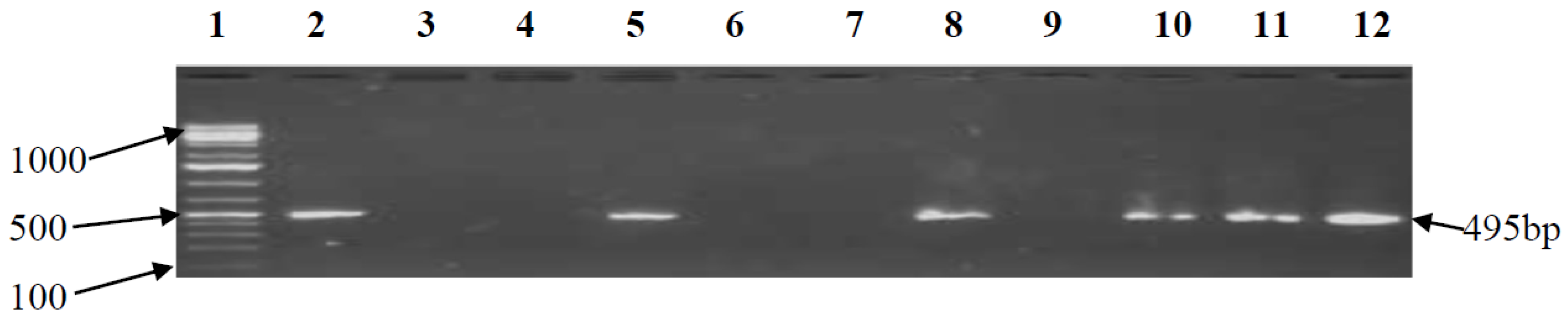 Ijerph 15 00925 g008