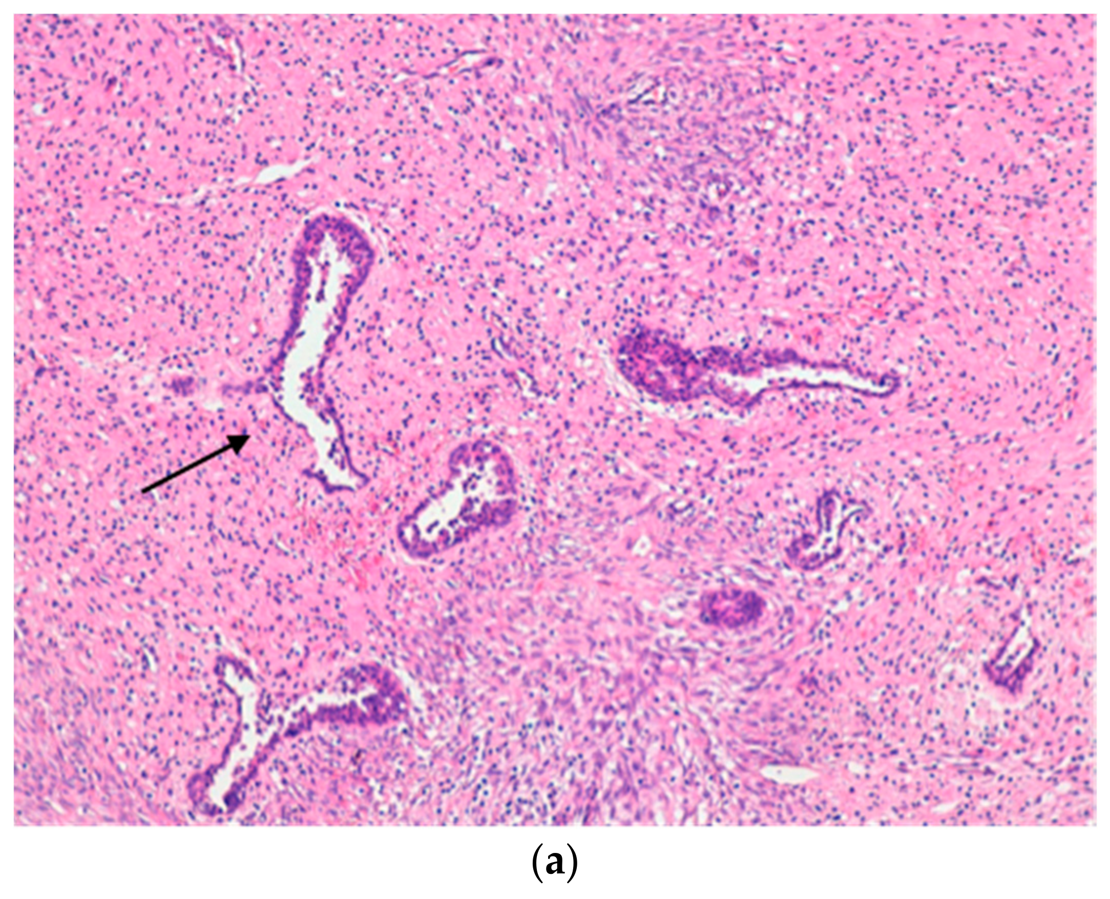 Ijerph 15 00959 g003a