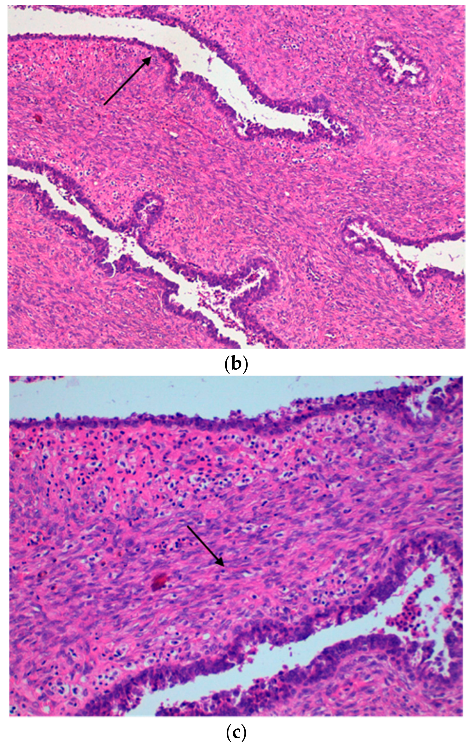 Ijerph 15 00959 g003b