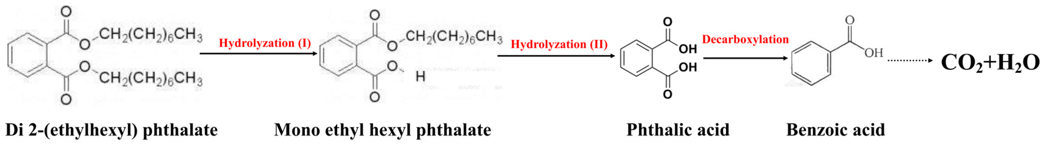 Ijerph 15 00964 g008 550