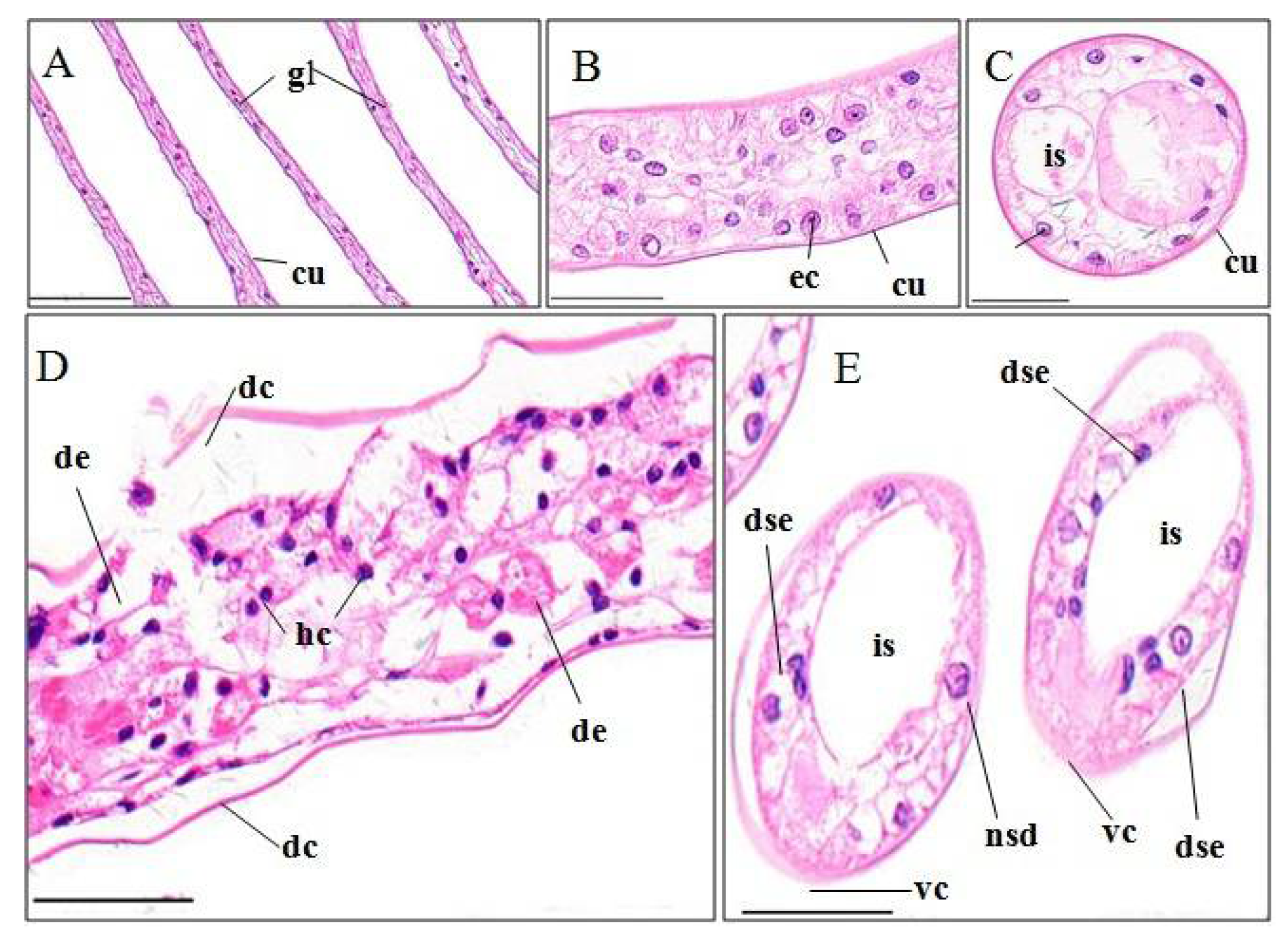 Ijerph 15 00984 g002