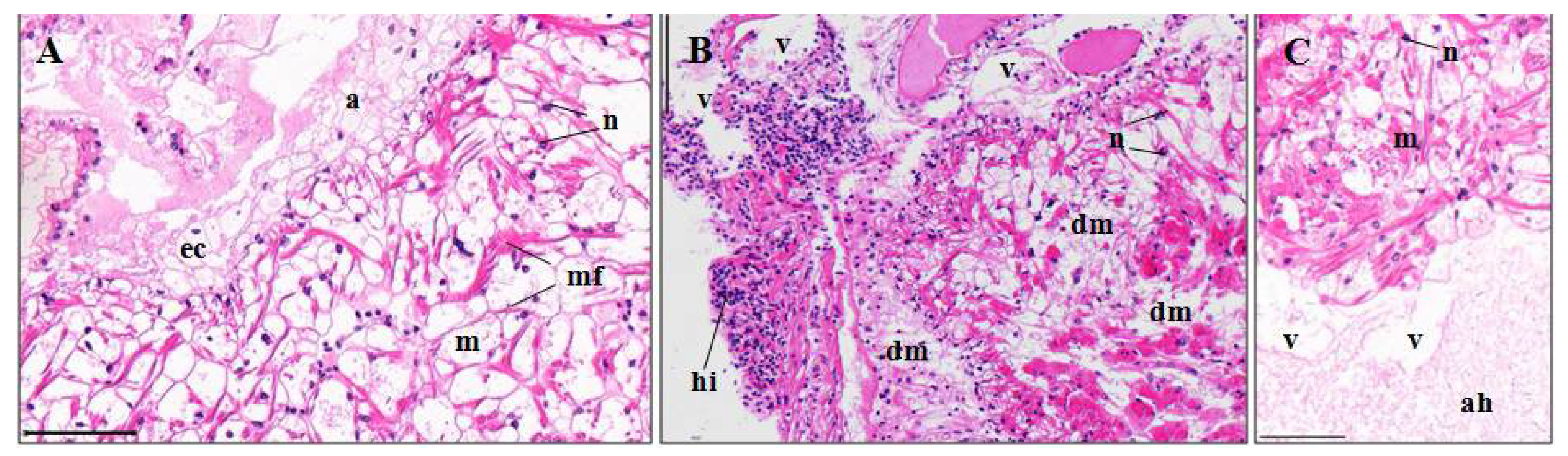 Ijerph 15 00984 g005