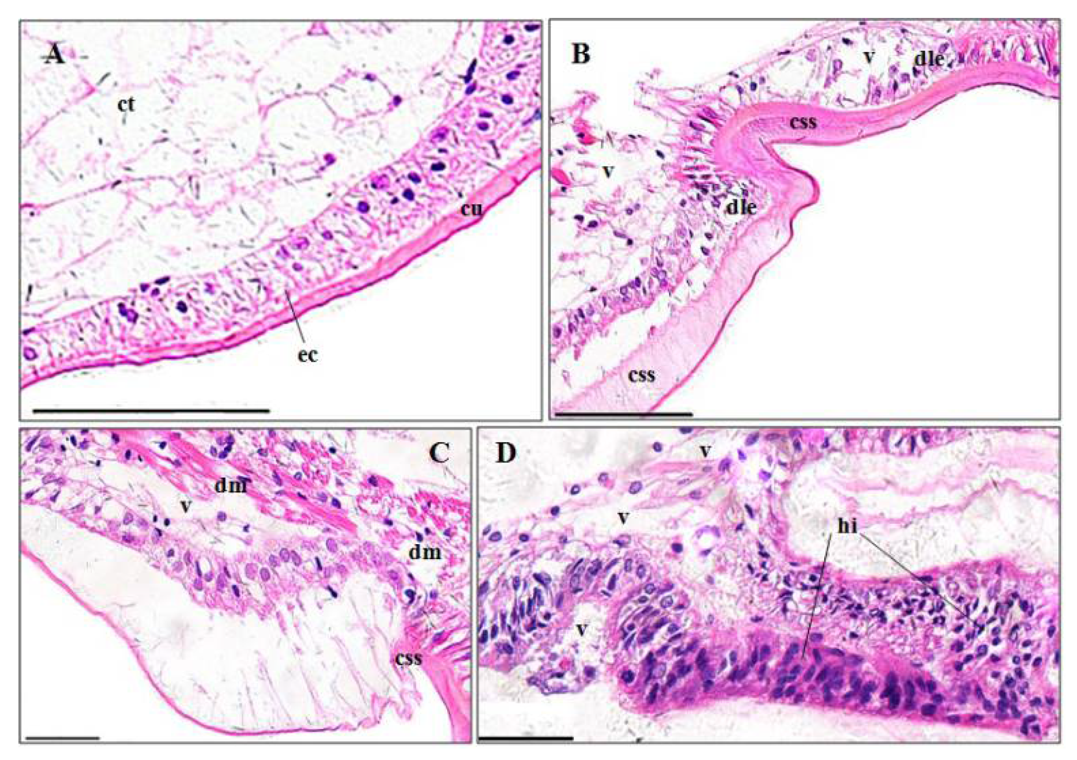 Ijerph 15 00984 g006