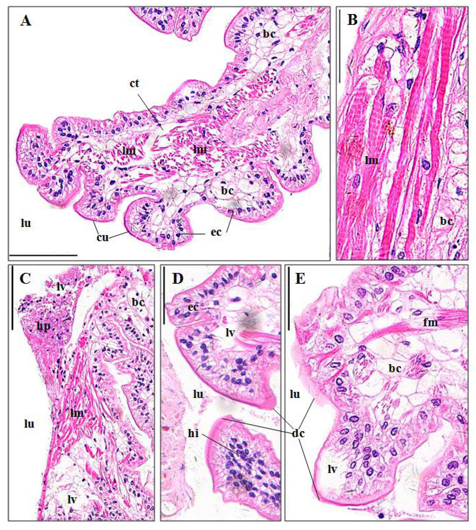 Ijerph 15 00984 g007