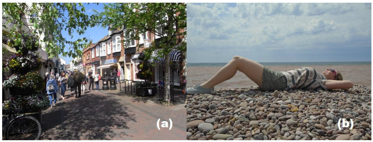 Ijerph 15 01112 g003 550