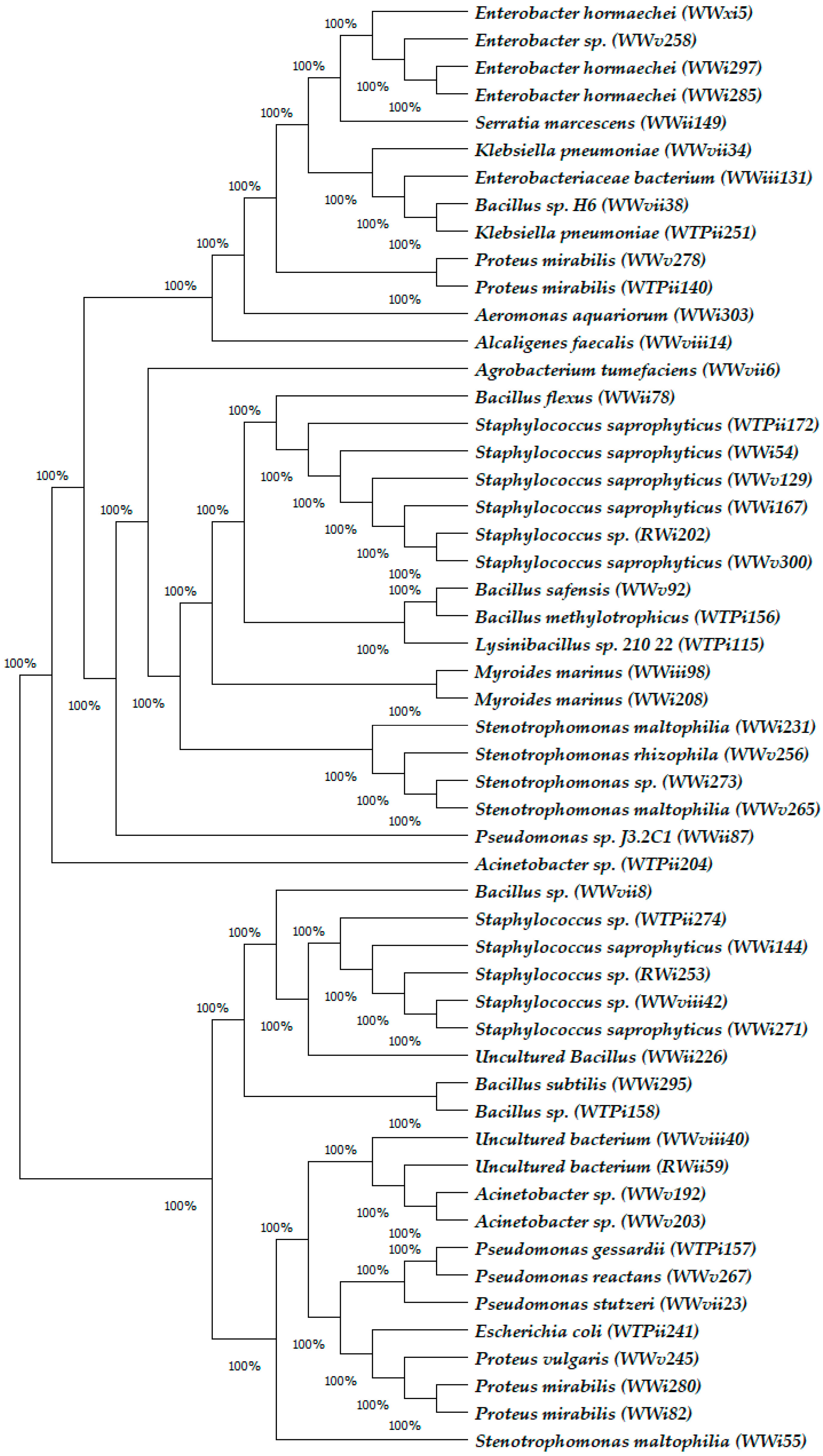 Ijerph 15 01365 g001 Ijerph 15 01365 g001