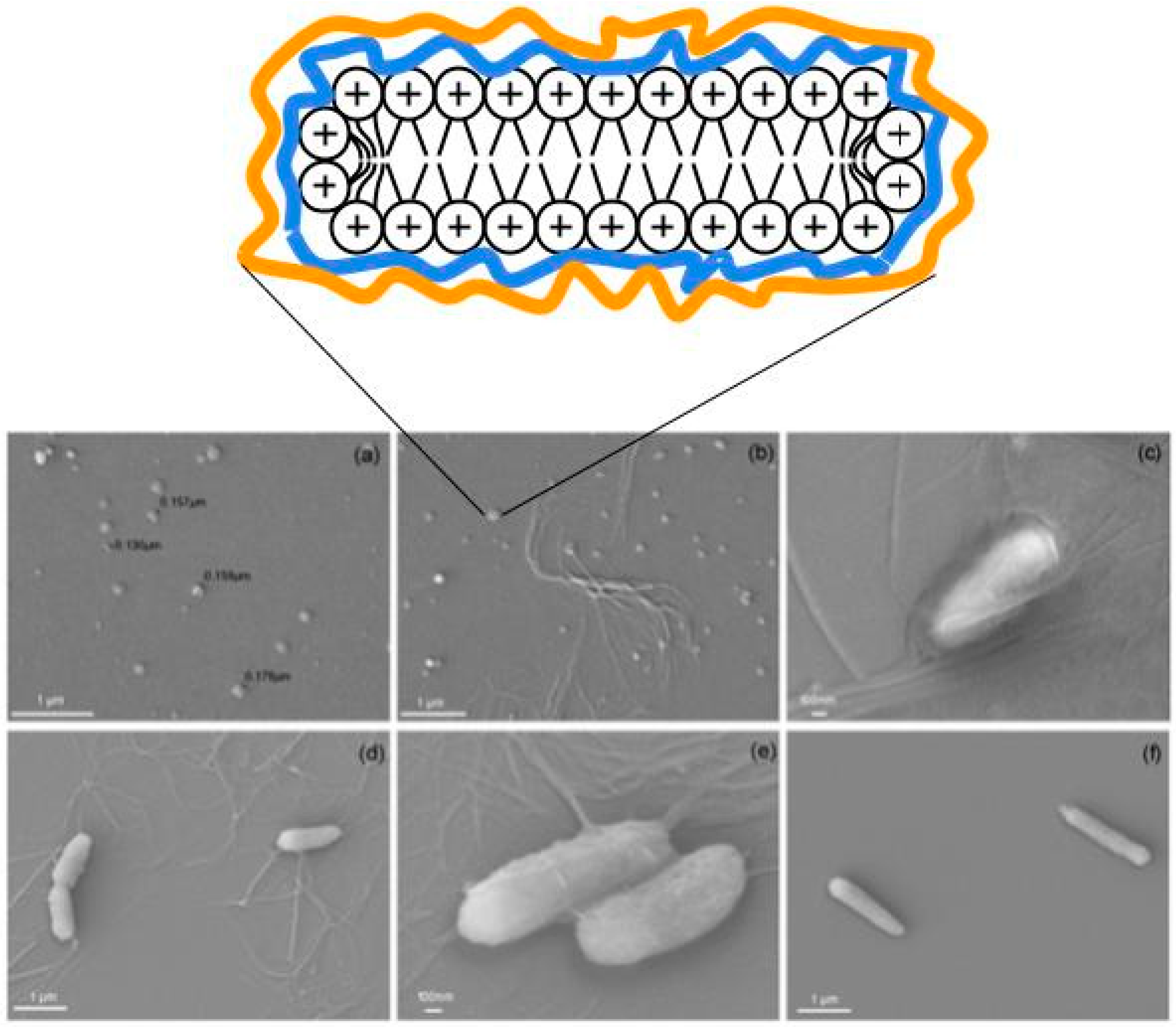 Ijerph 15 01408 g001 Ijerph 15 01408 g001