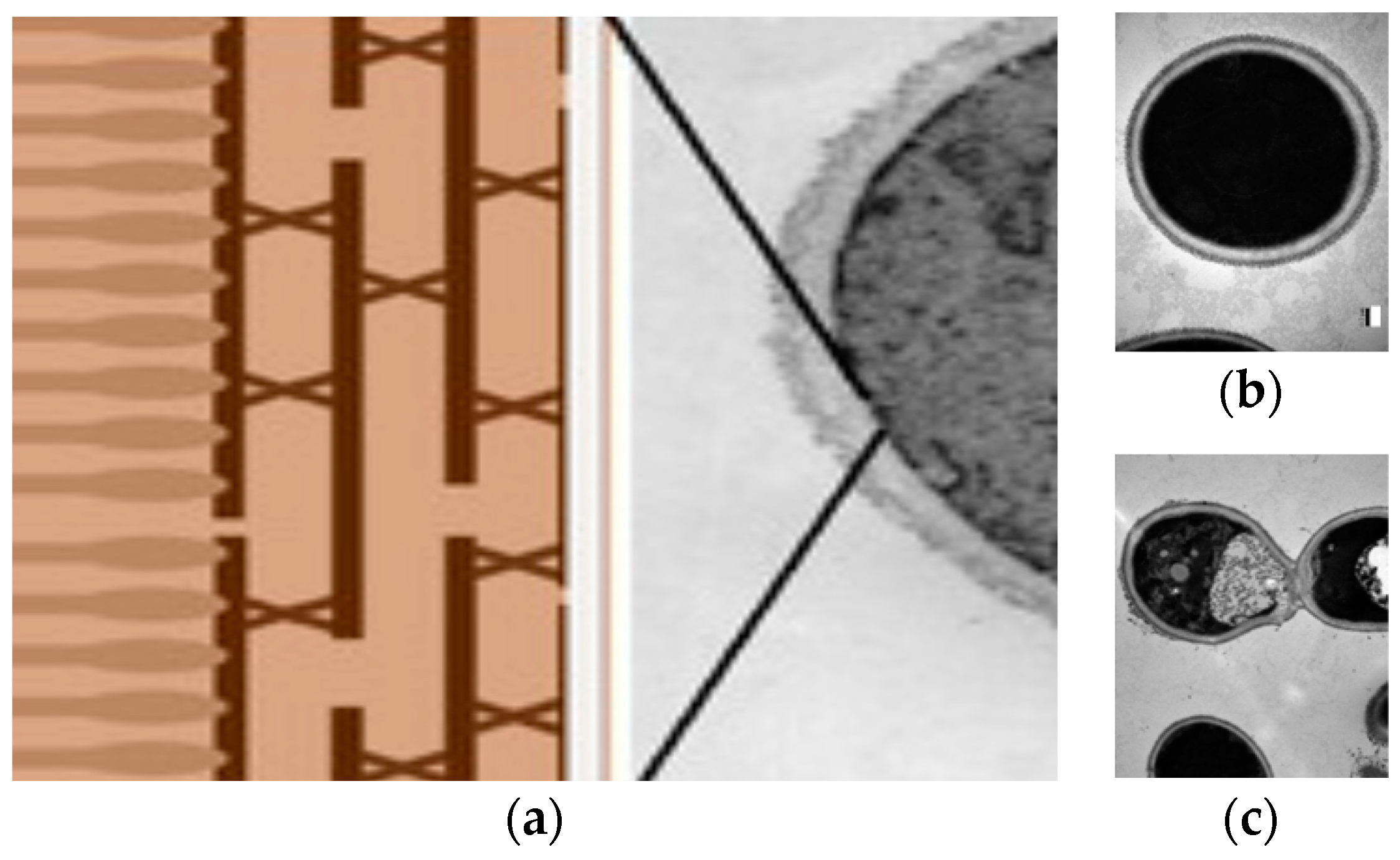 Ijerph 15 01408 g005 Ijerph 15 01408 g005