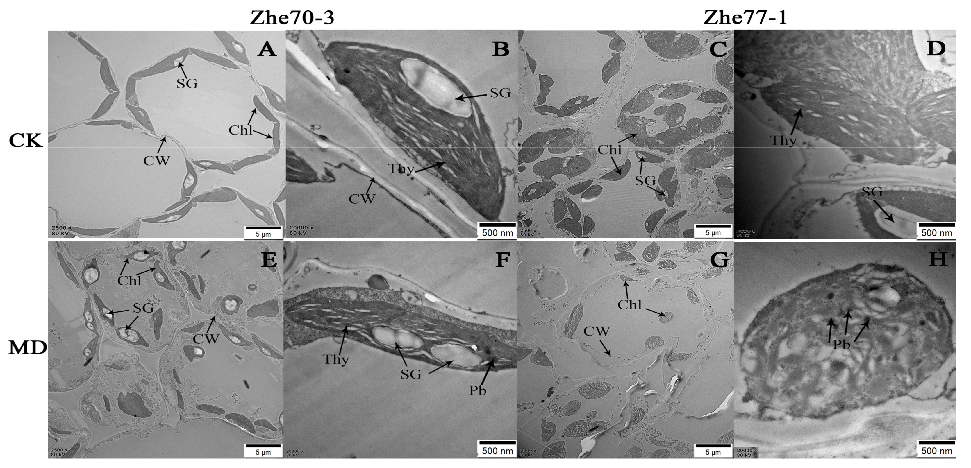 Ijerph 15 01467 g001
