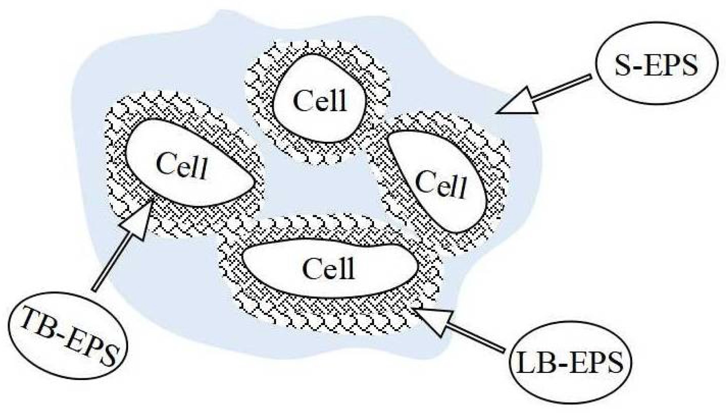 Ijerph 15 01469 g002 550