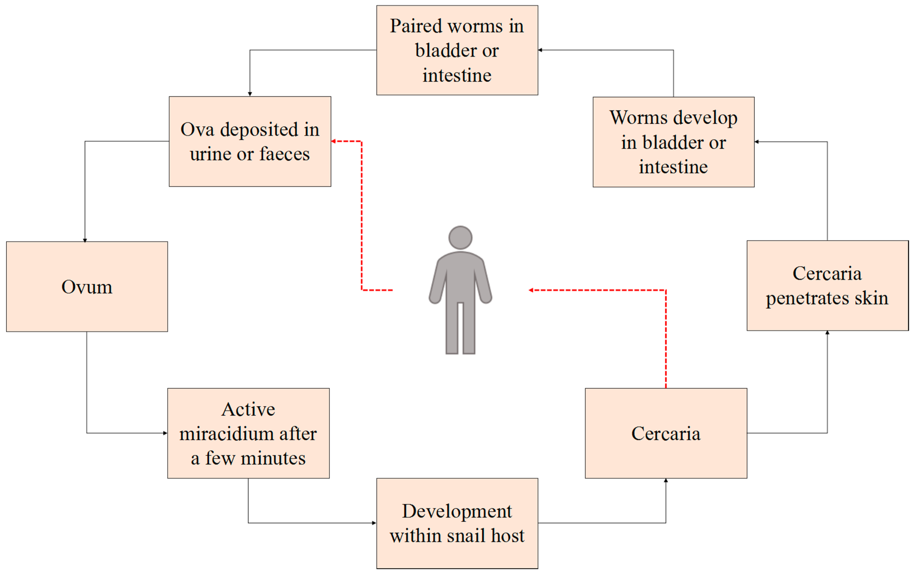 Ijerph 15 01481 g006