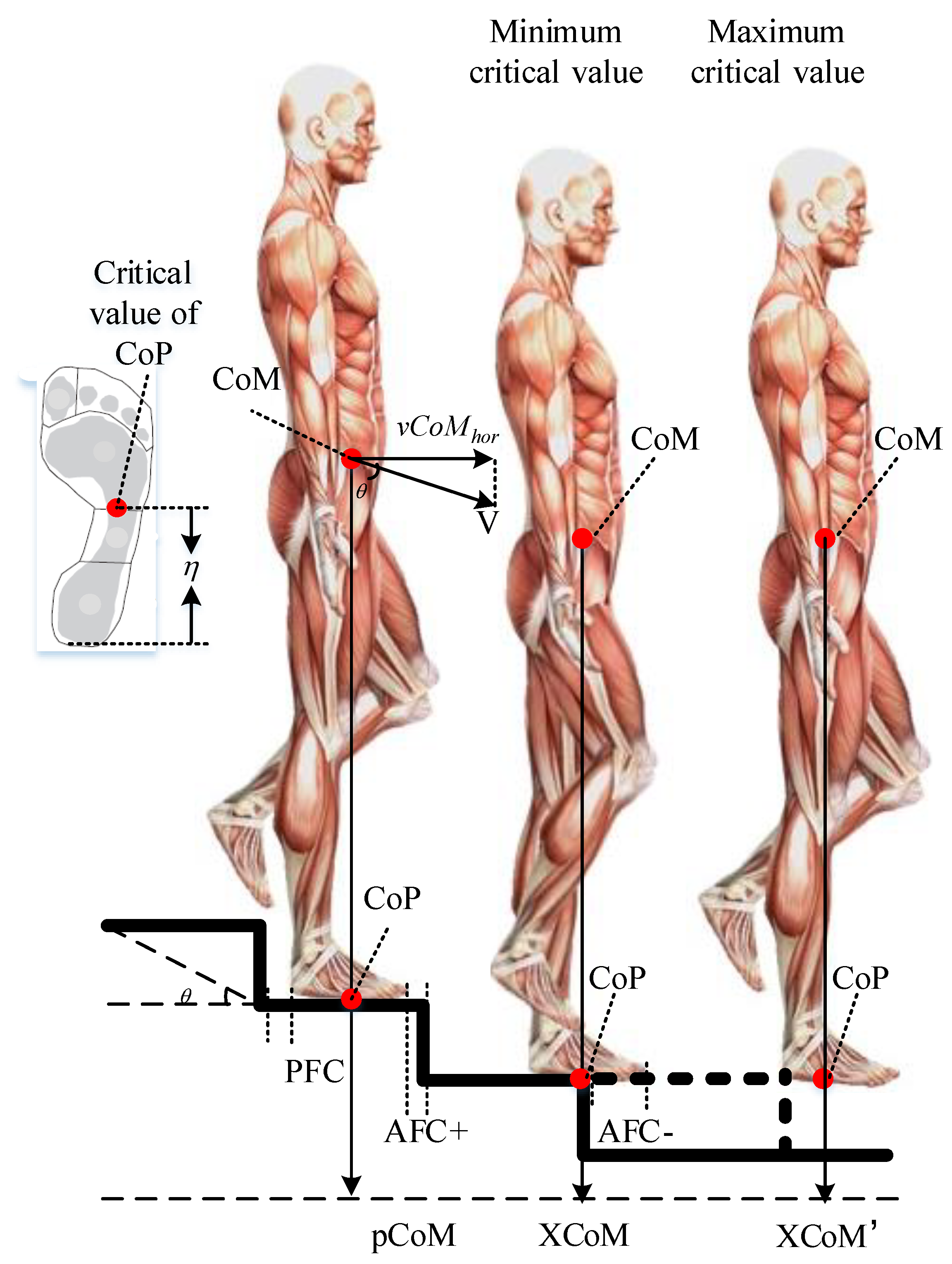 Ijerph 15 01517 g003
