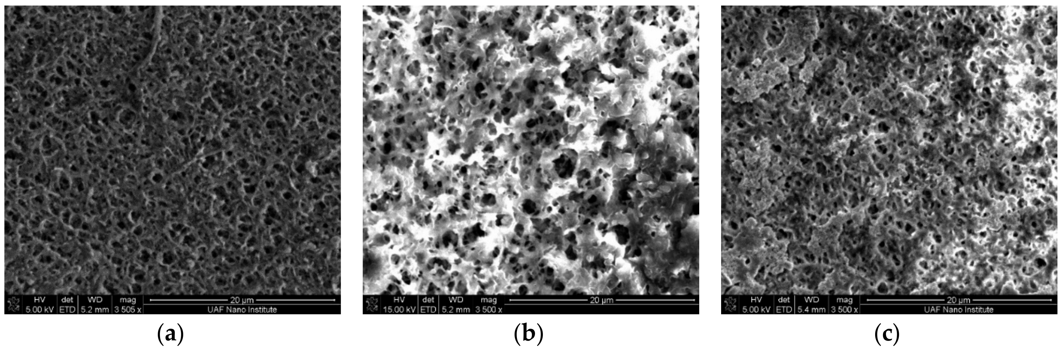 Ijerph 15 01561 g007a Ijerph 15 01561 g007a