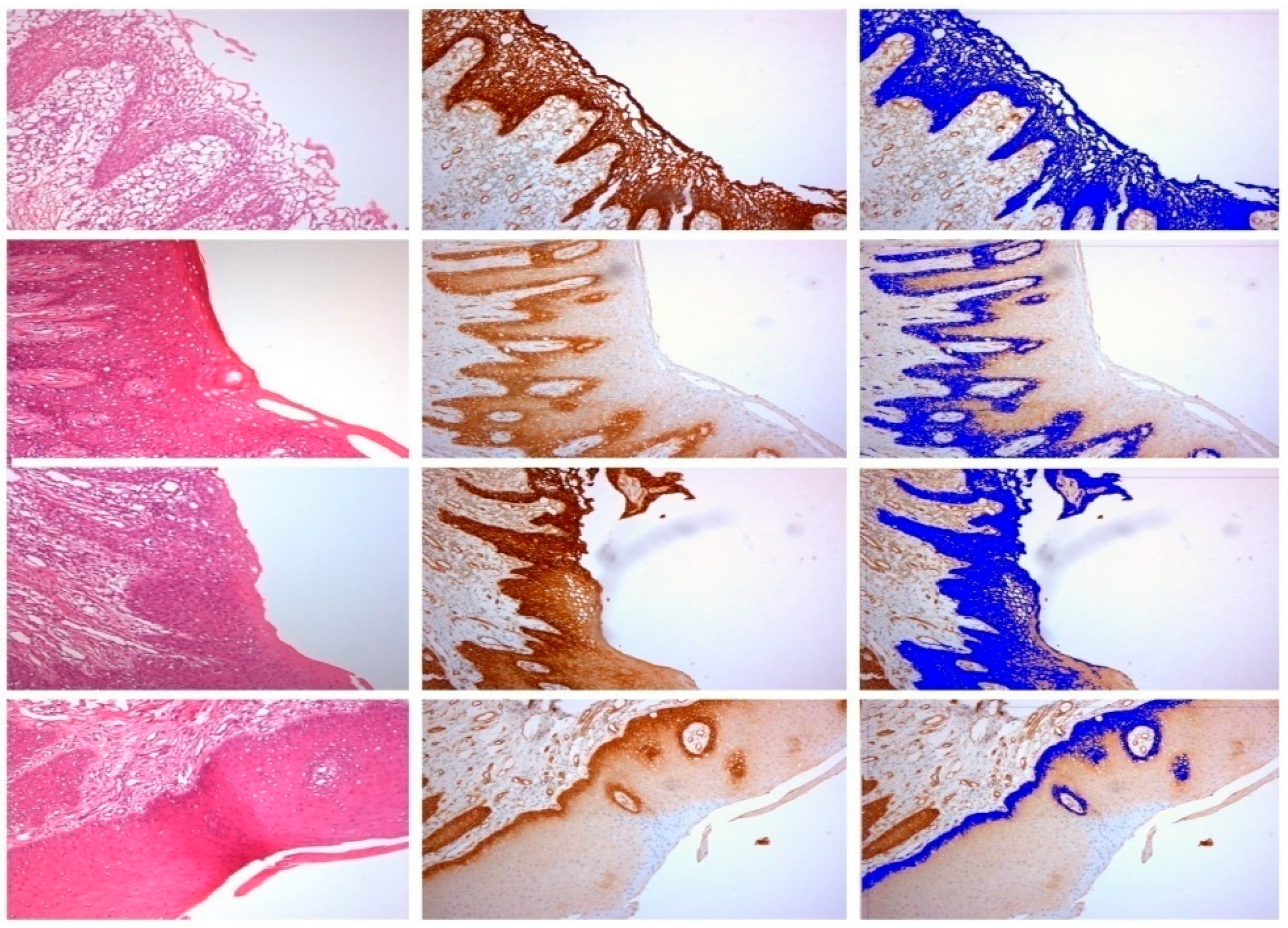 Ijerph 15 01611 g002