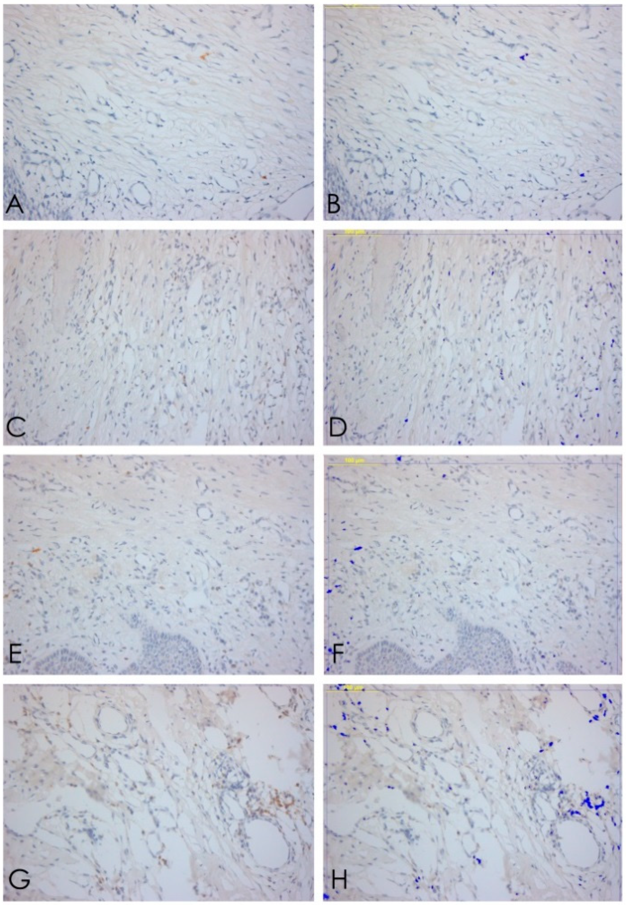 Ijerph 15 01611 g004