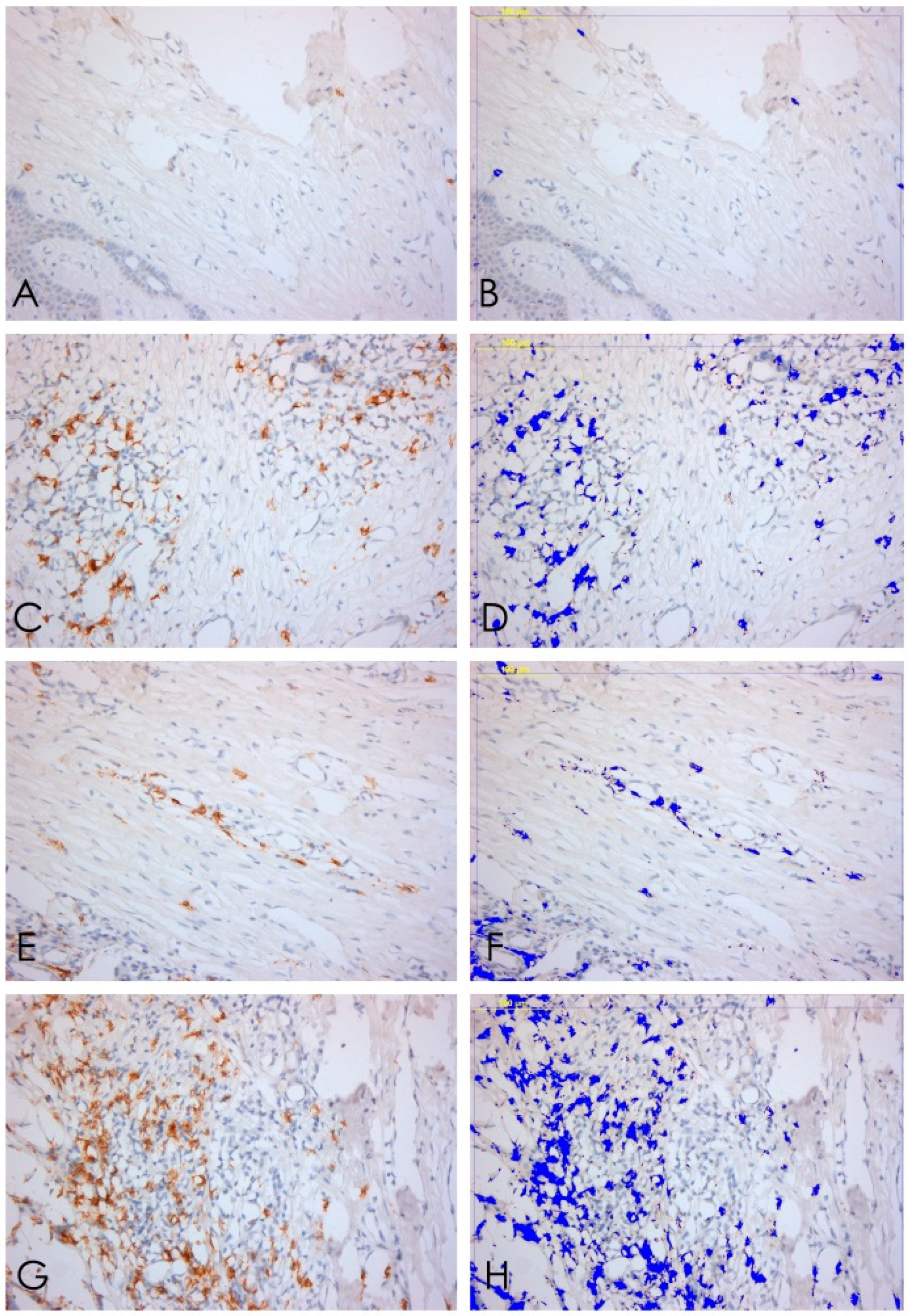 Ijerph 15 01611 g005