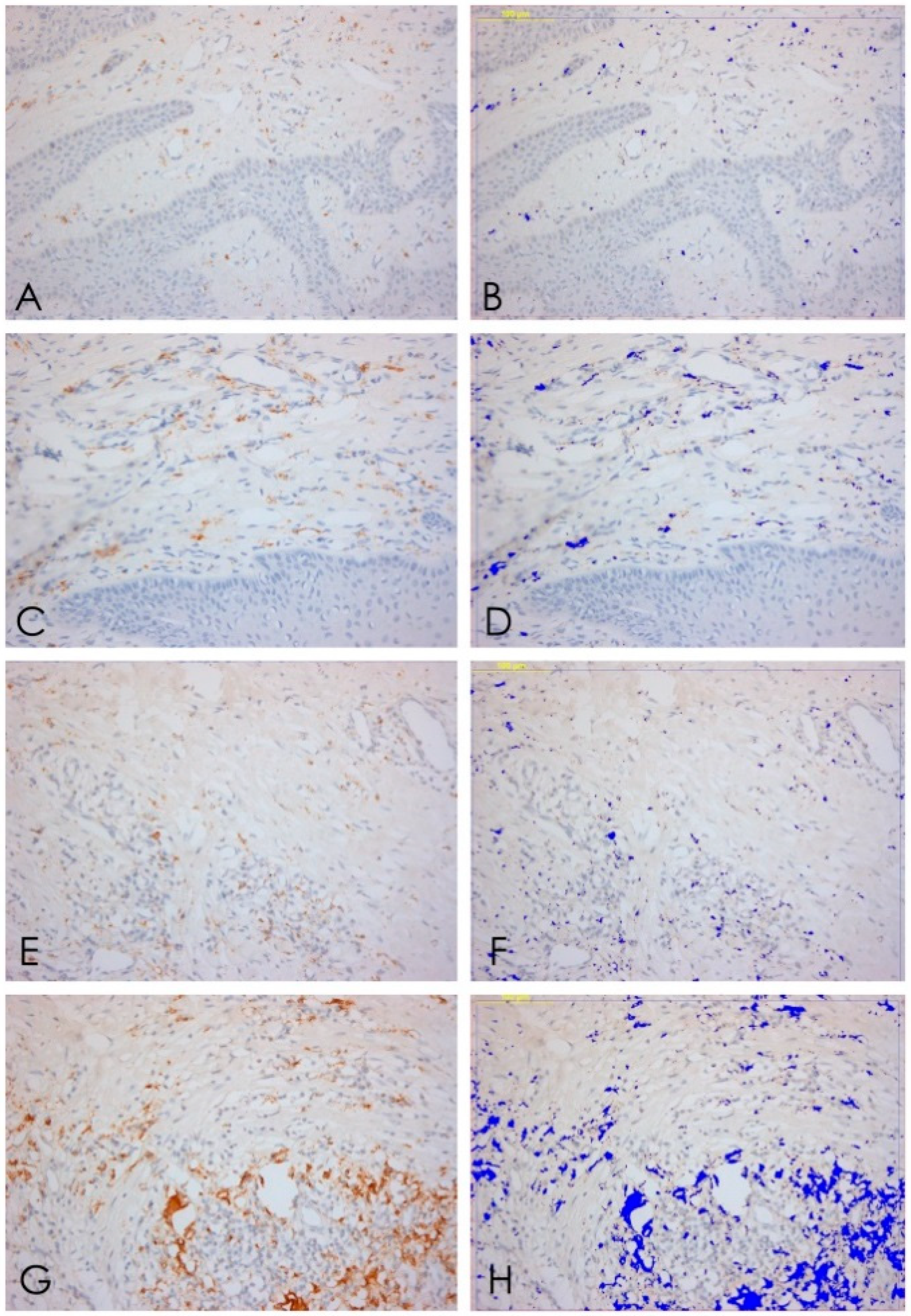 Ijerph 15 01611 g006