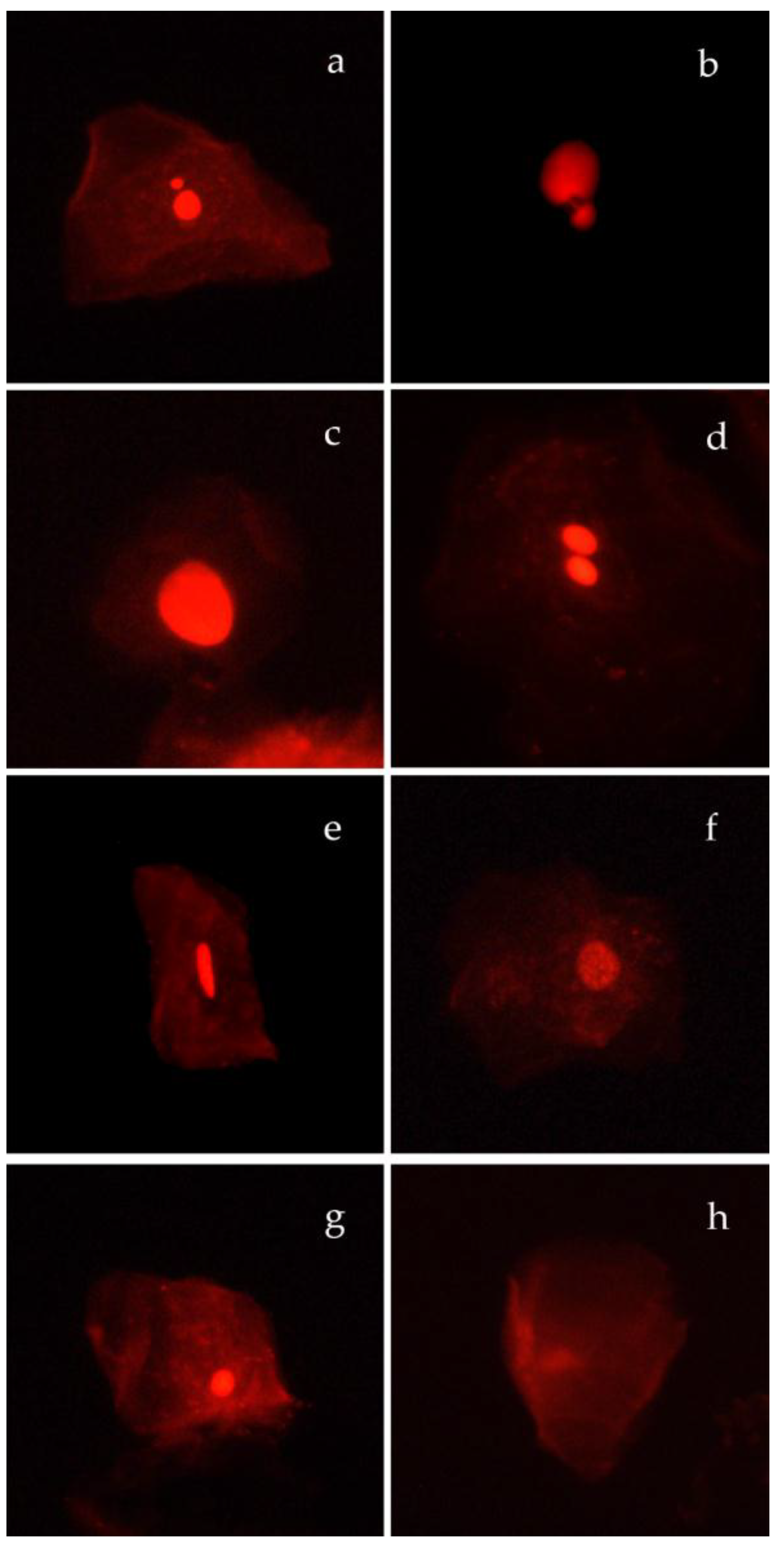 Ijerph 15 01659 g002