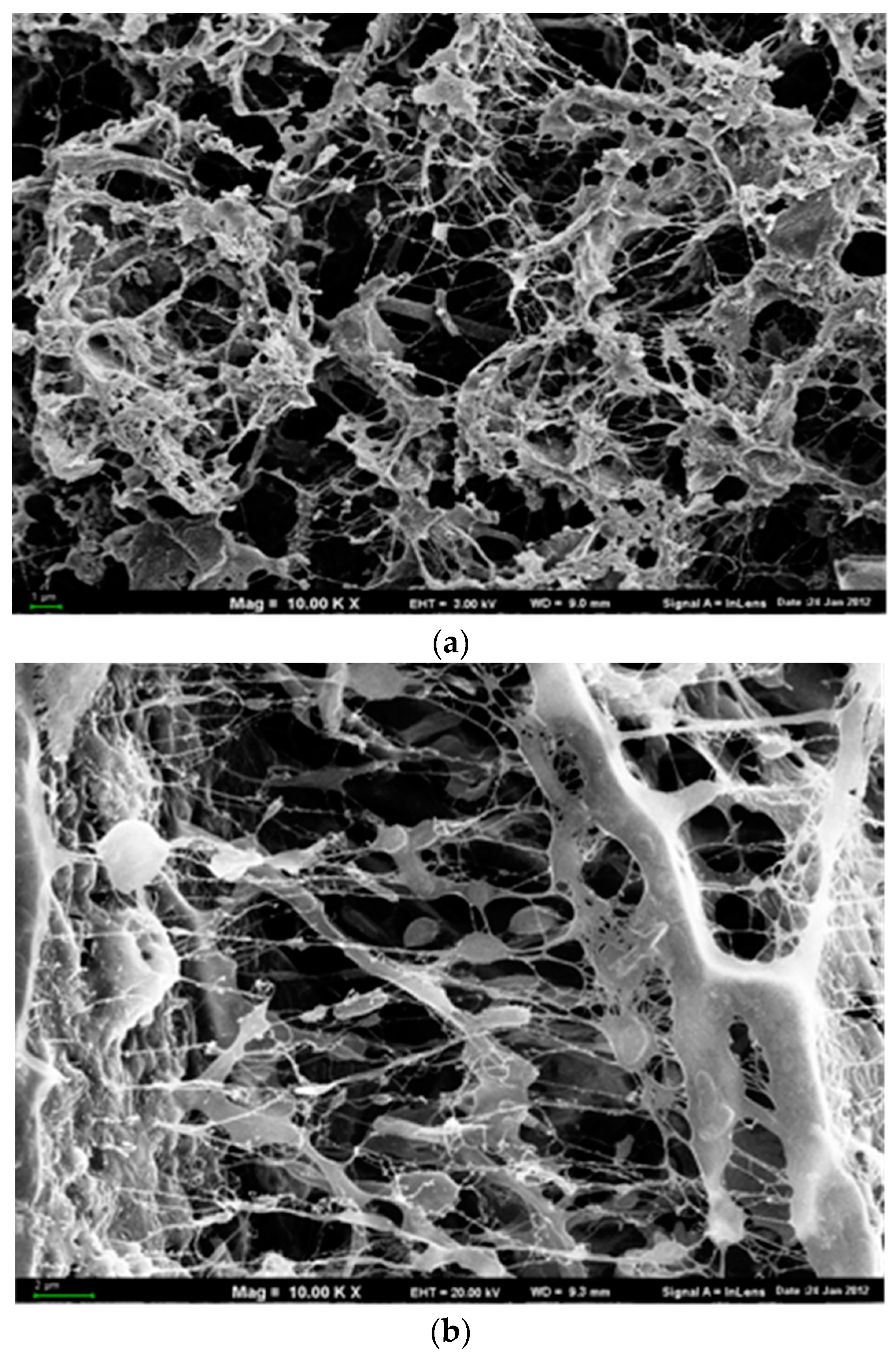 Ijerph 15 01717 g005