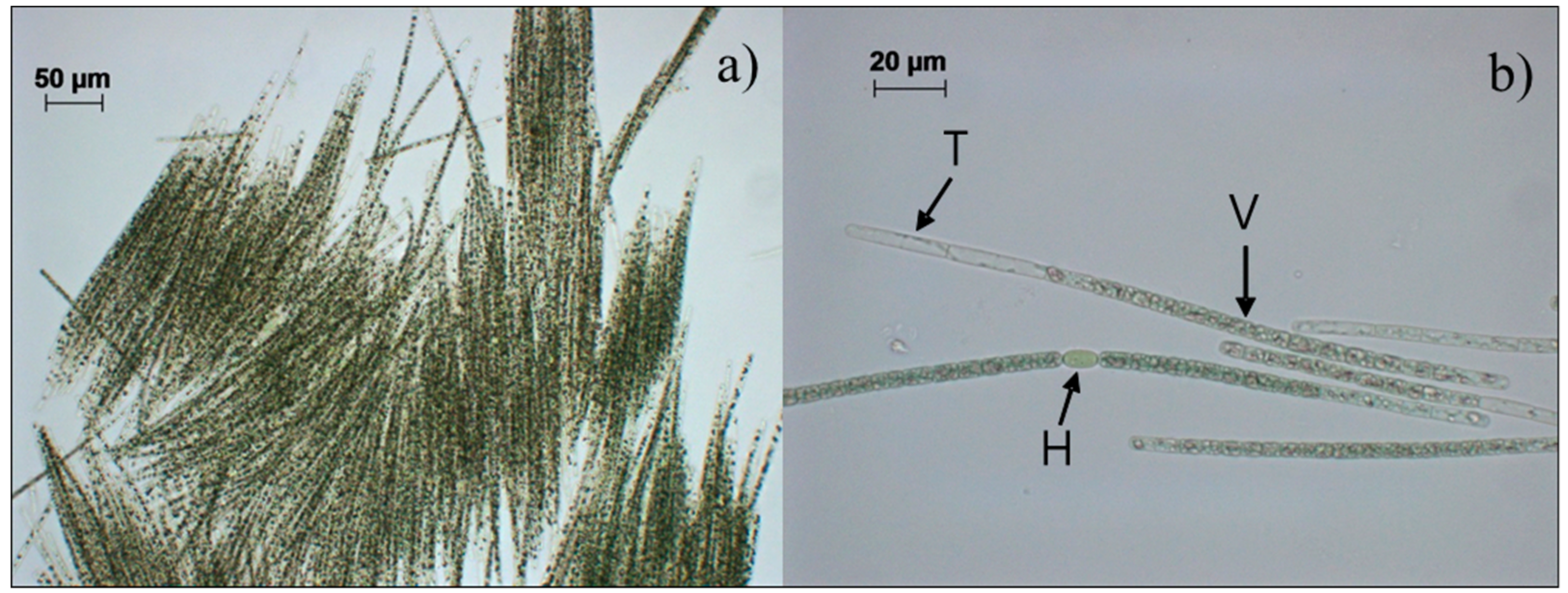 Ijerph 15 01739 g002 550