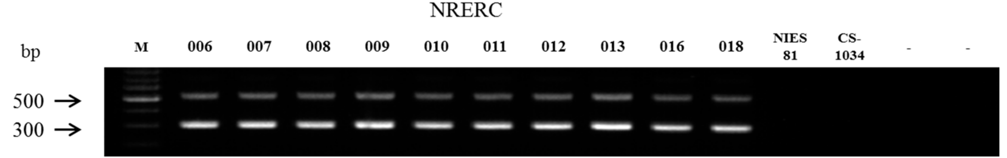 Ijerph 15 01739 g003 550