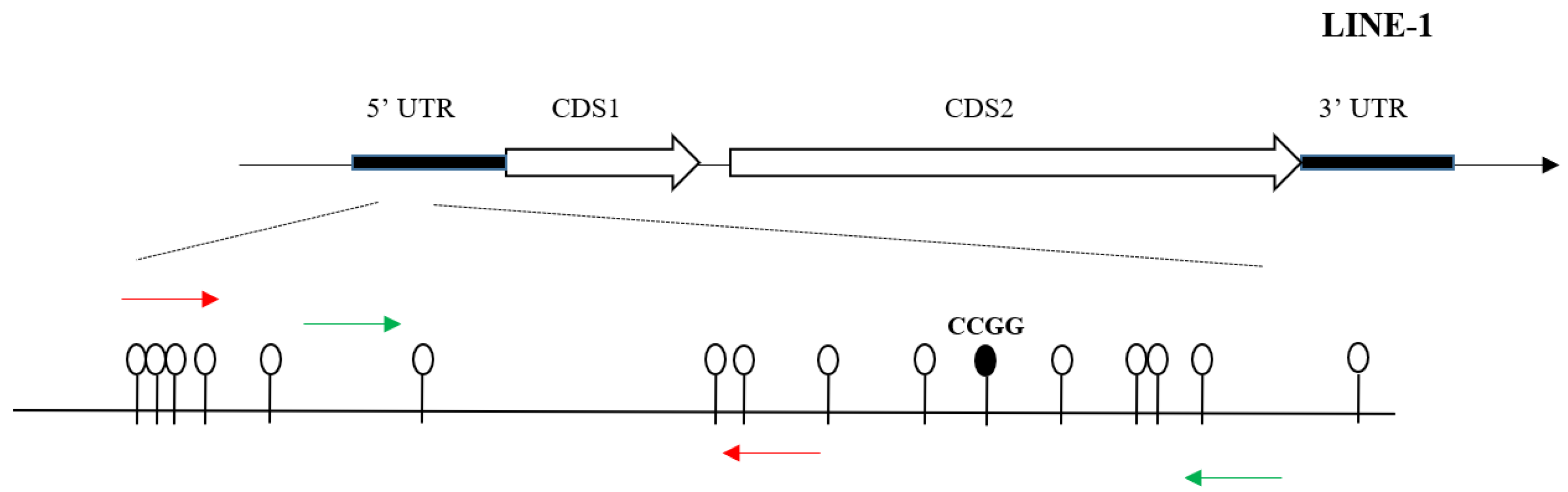 Ijerph 15 01770 g001