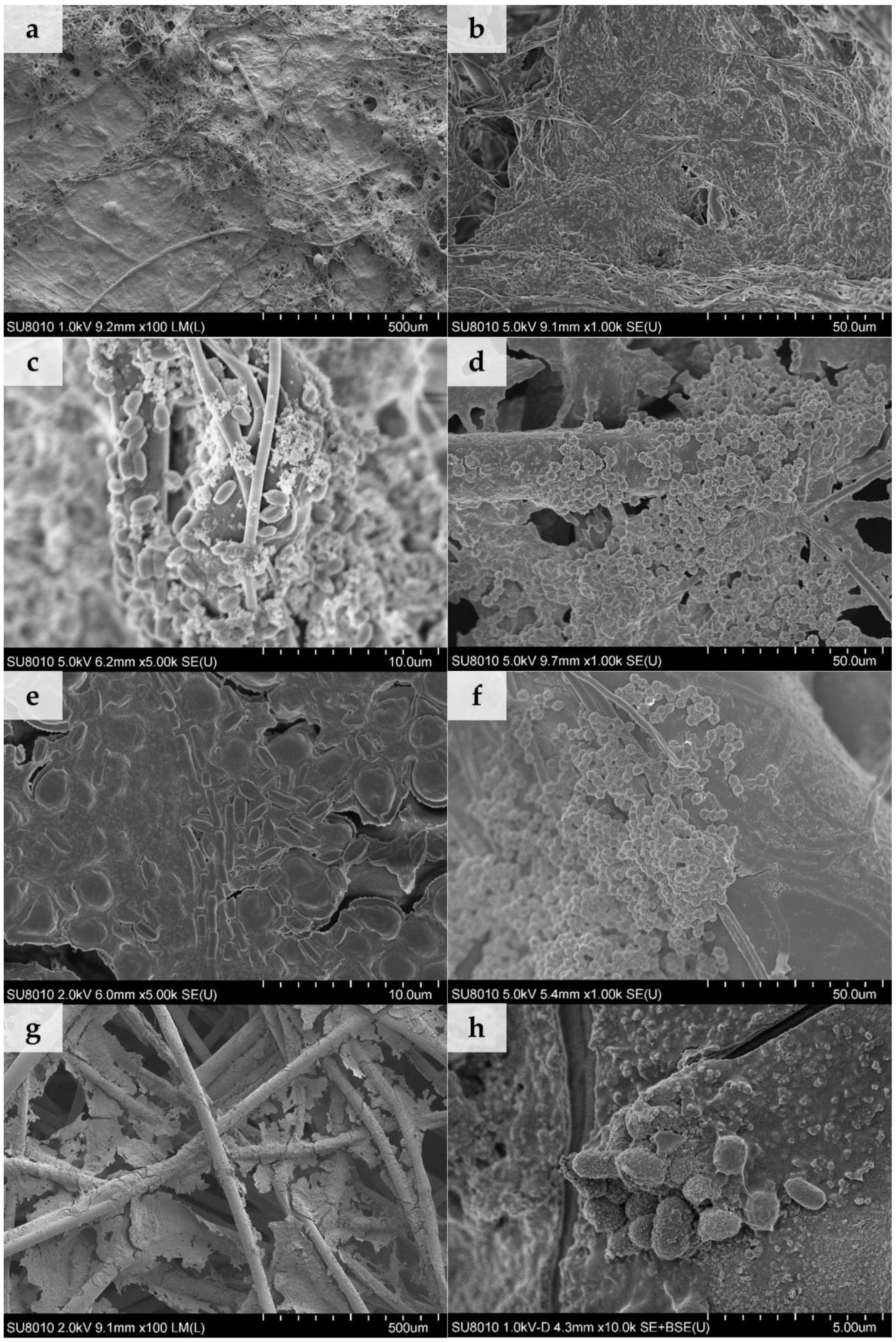 Ijerph 15 01902 g005 Ijerph 15 01902 g005