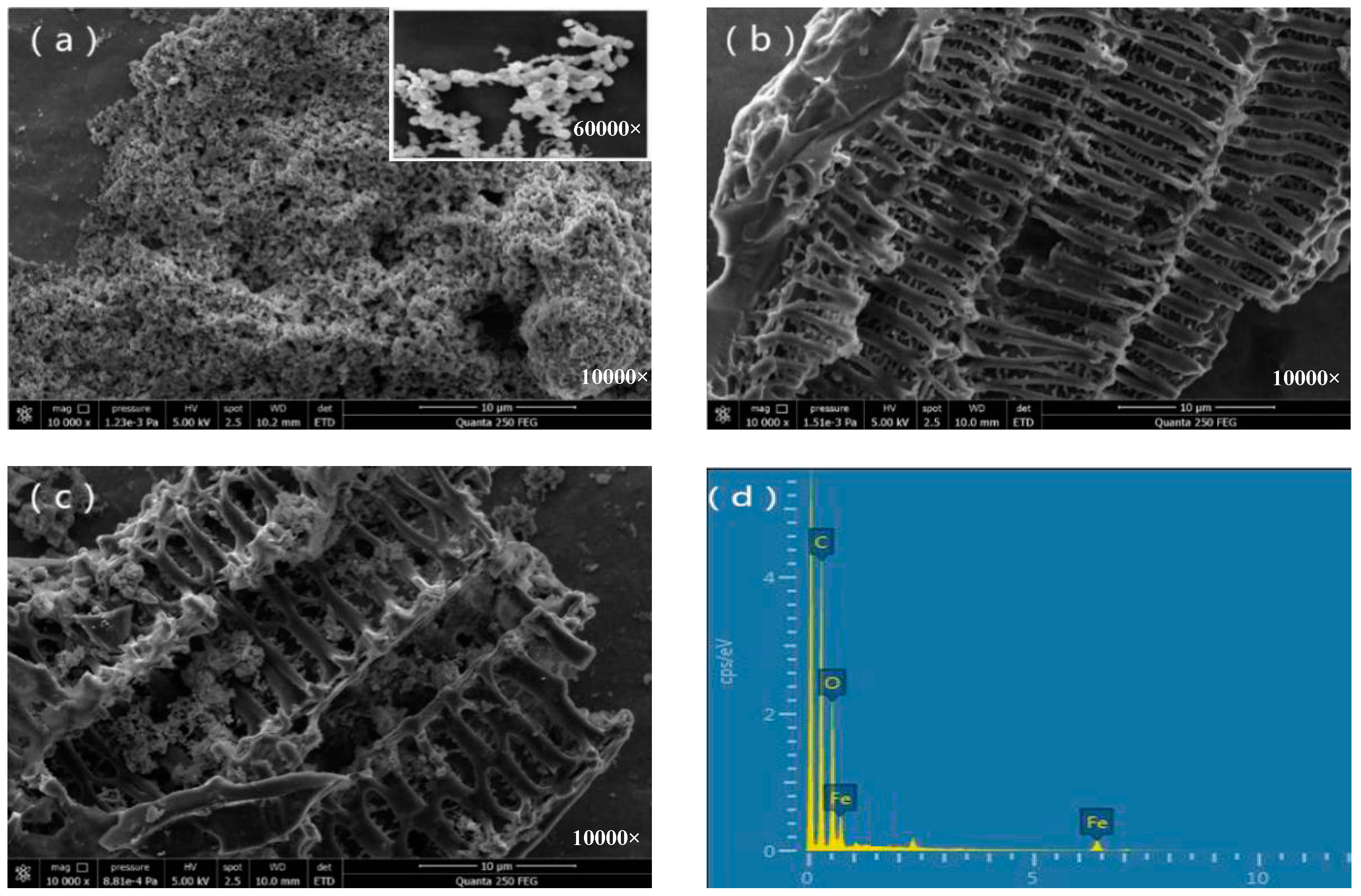 Ijerph 15 01937 g001 Ijerph 15 01937 g001