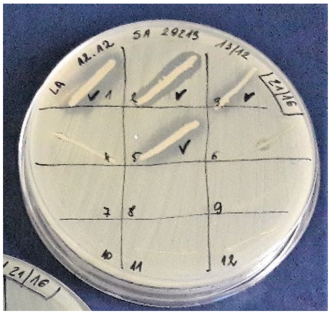 Ijerph 15 02002 g001