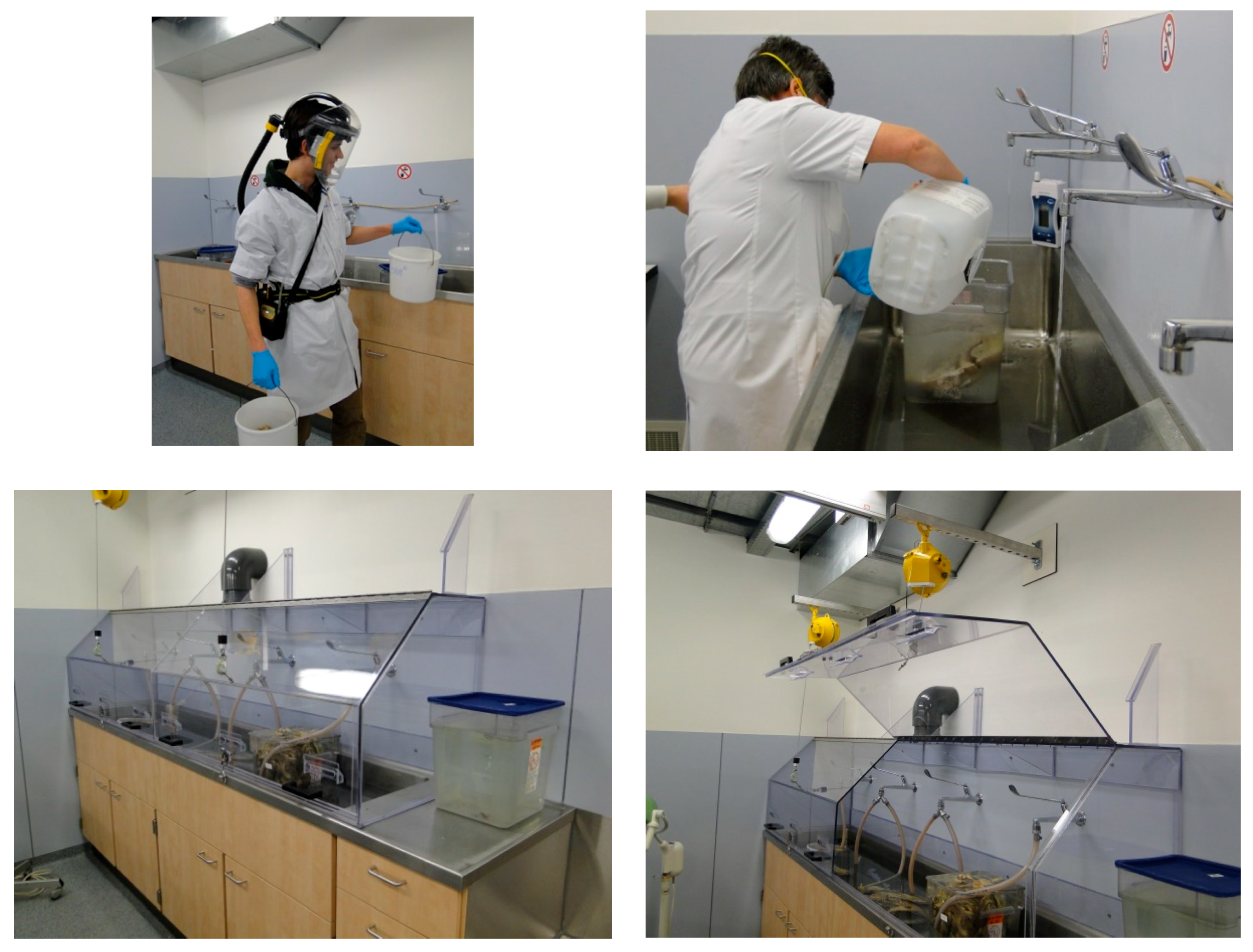 Ijerph 15 02049 g005 Ijerph 15 02049 g005