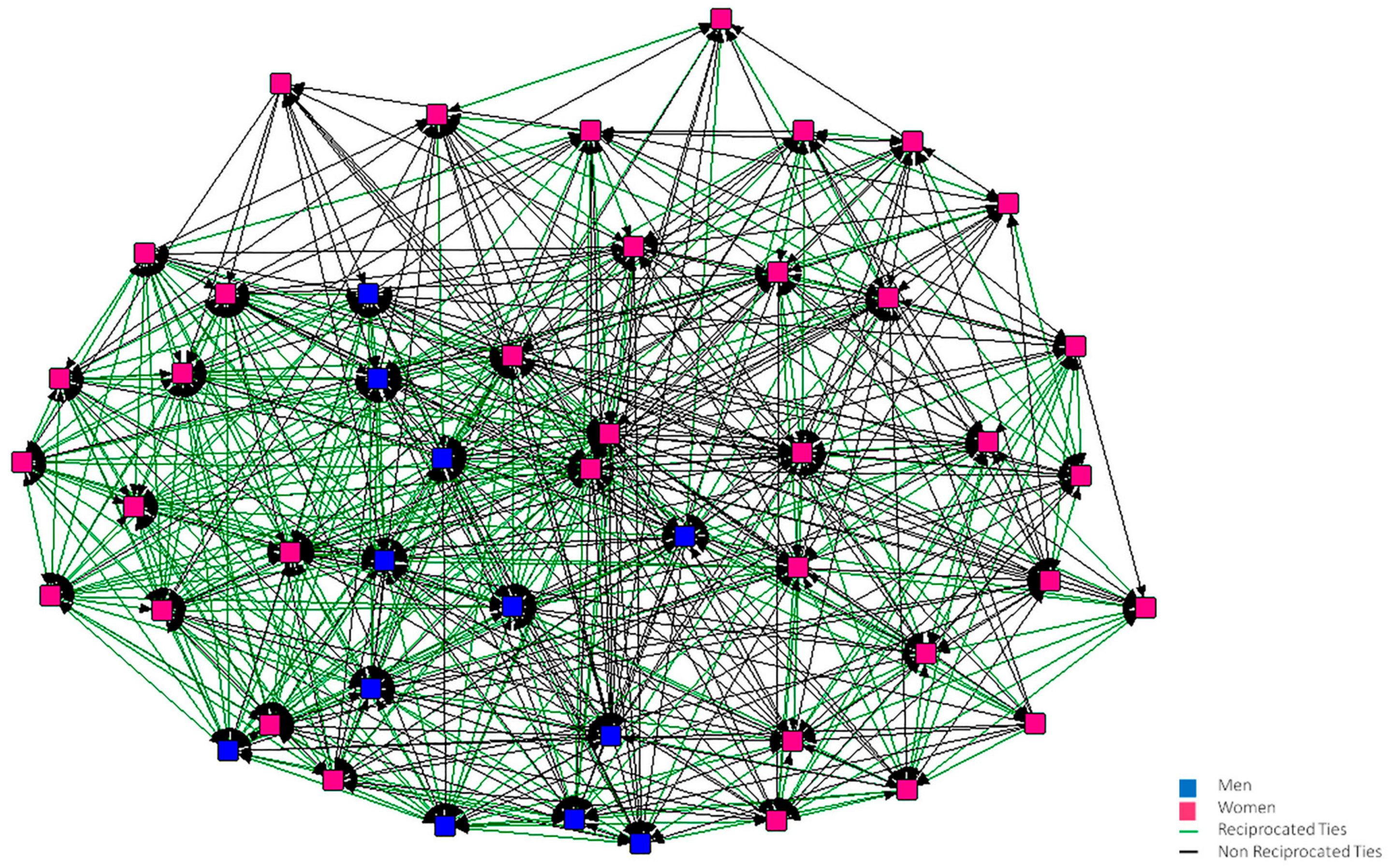 Figure 1.Graph of the first year Support Network. 