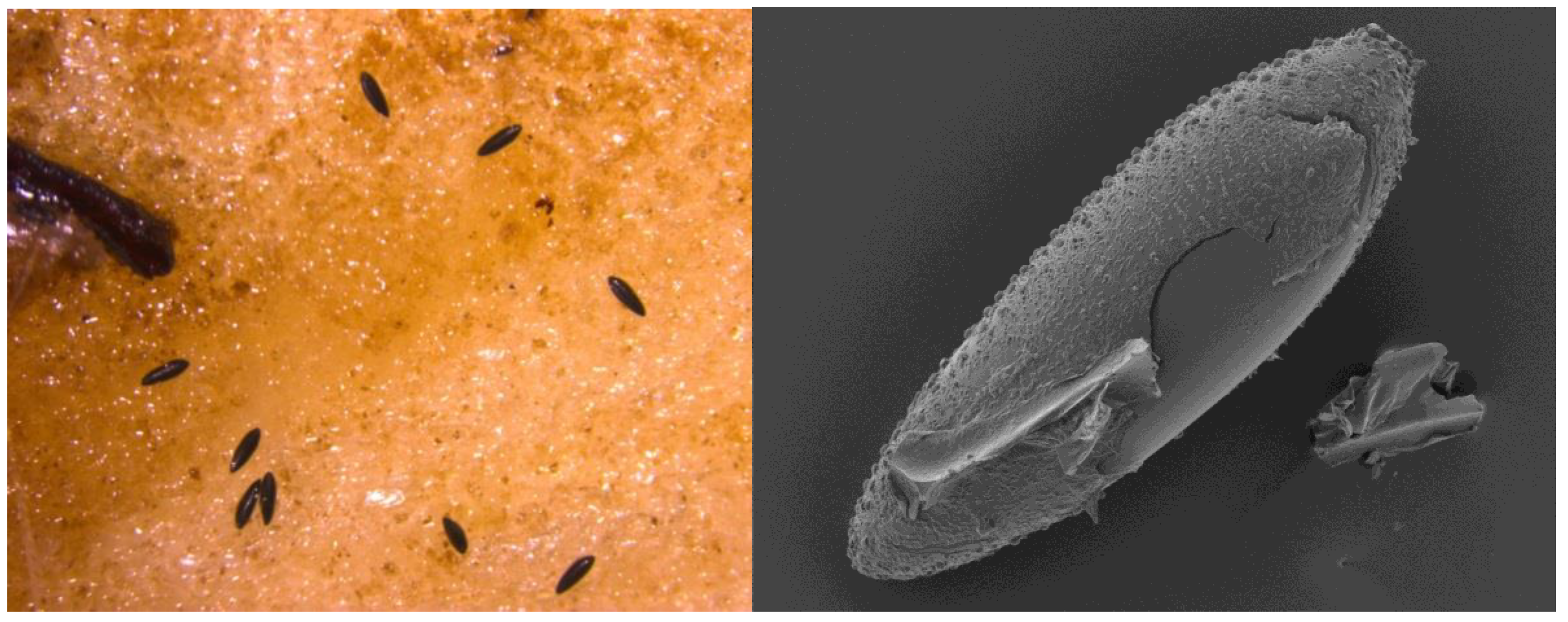 Ijerph 15 02145 g002 Ijerph 15 02145 g002