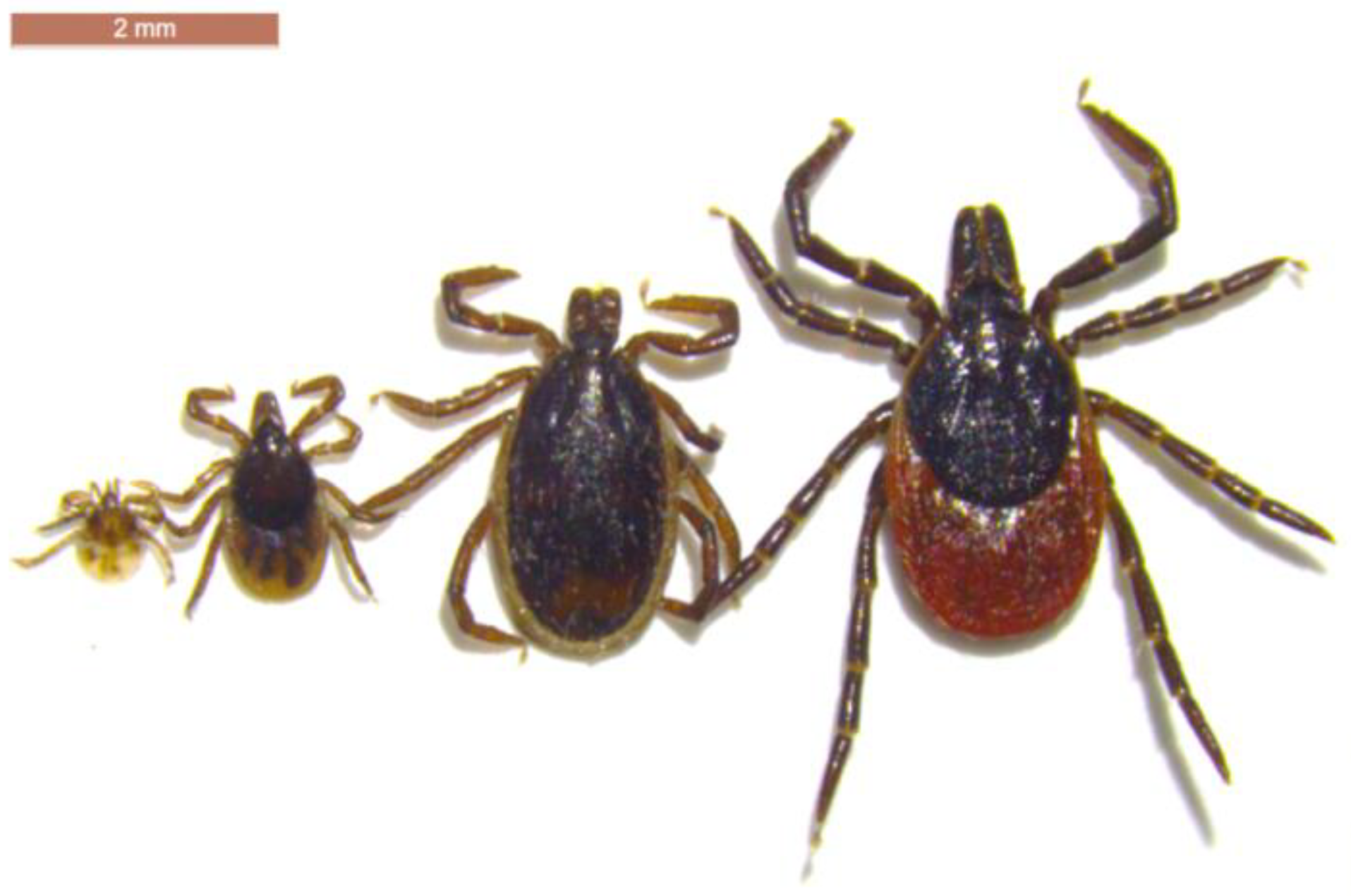 Ijerph 15 02145 g004 Ijerph 15 02145 g004