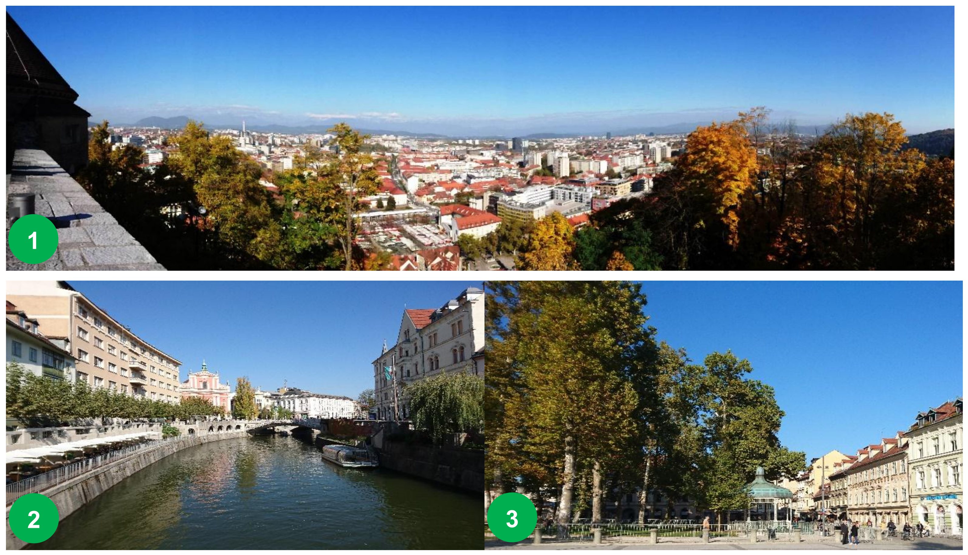 Ijerph 15 02180 g001