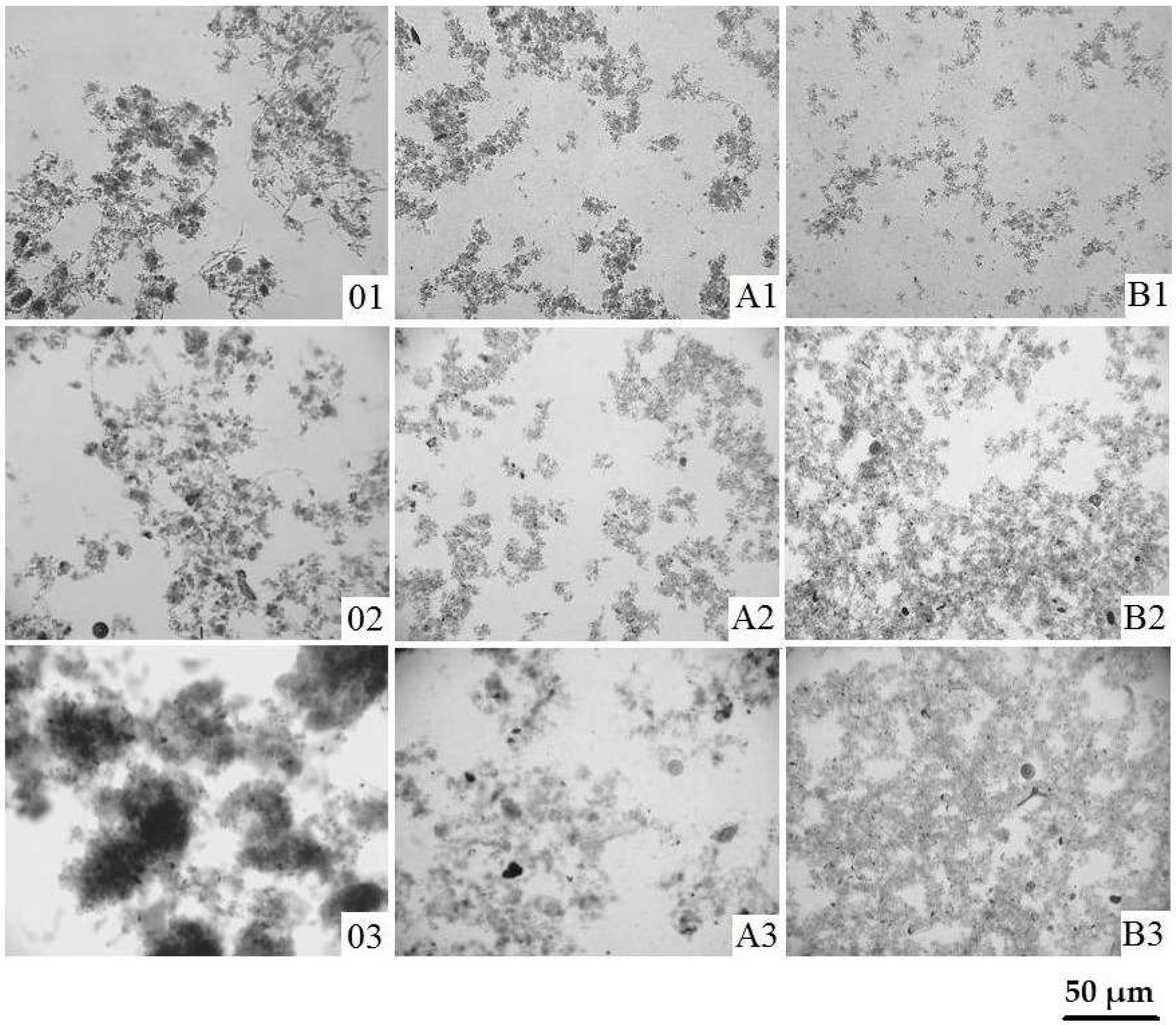 Ijerph 15 02311 g003 Ijerph 15 02311 g003