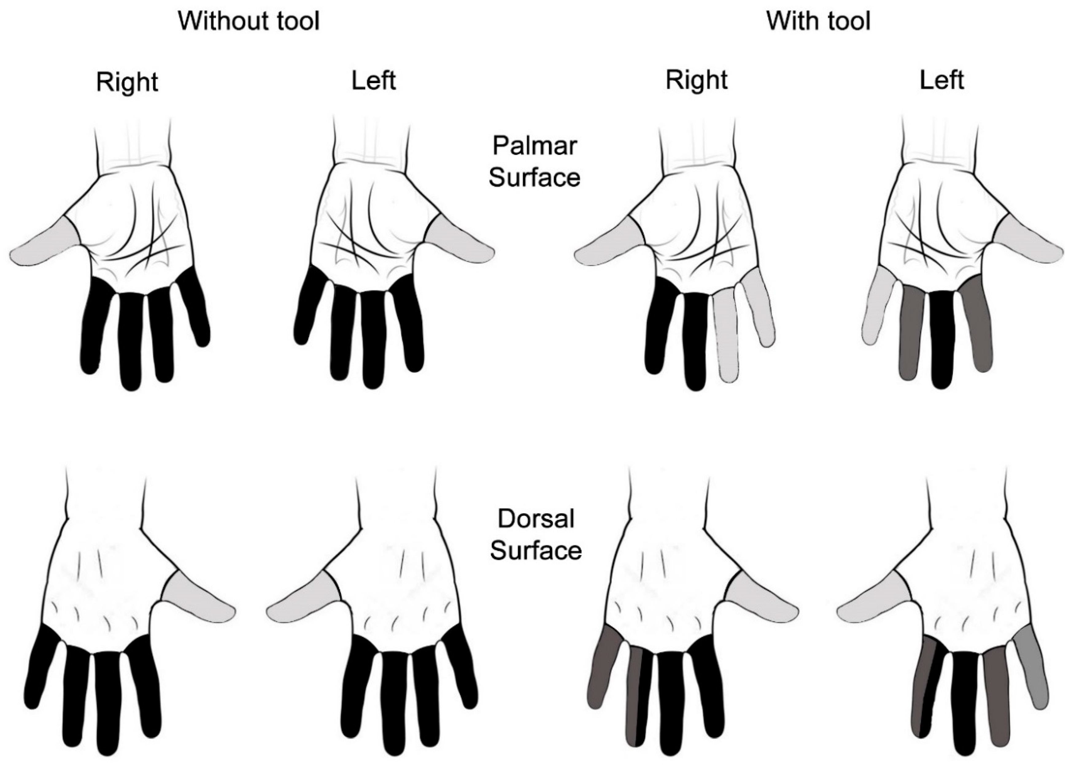 Ijerph 15 02583 g002