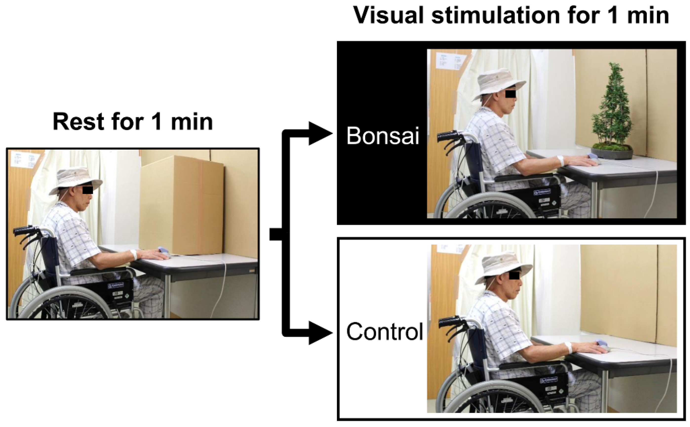 Ijerph 15 02635 g001