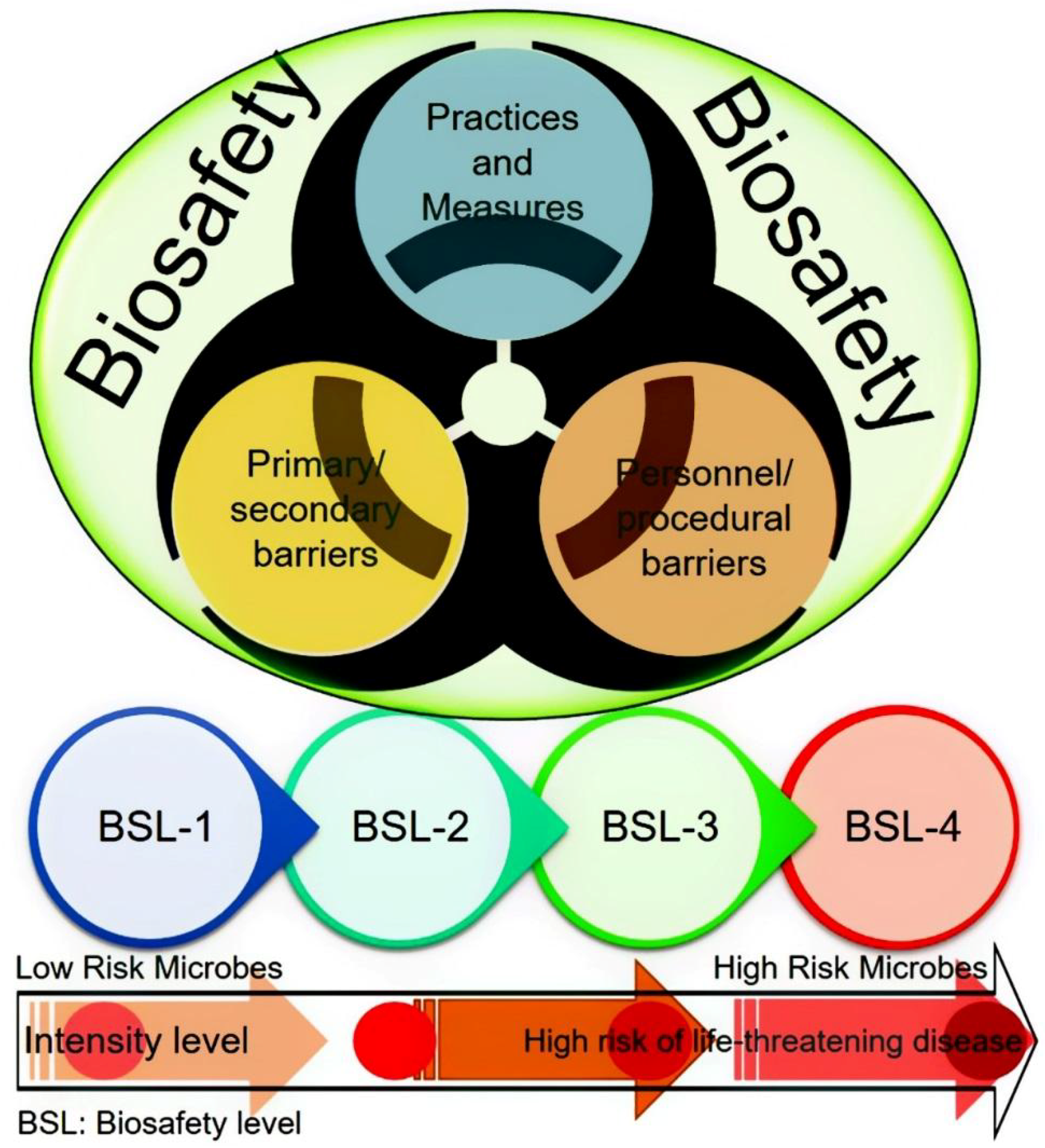 Ijerph Free Full Text Improved Biosafety And Biosecurity