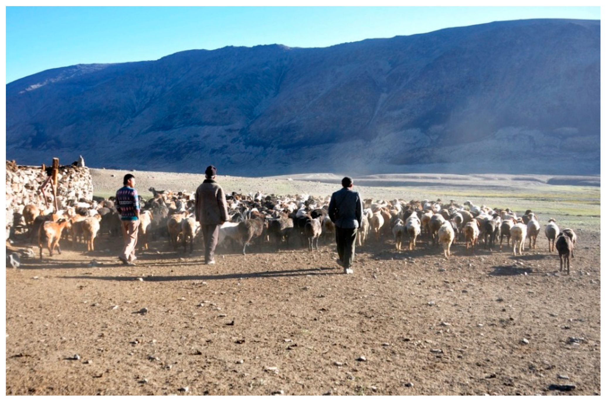 Ijerph 15 02725 g009