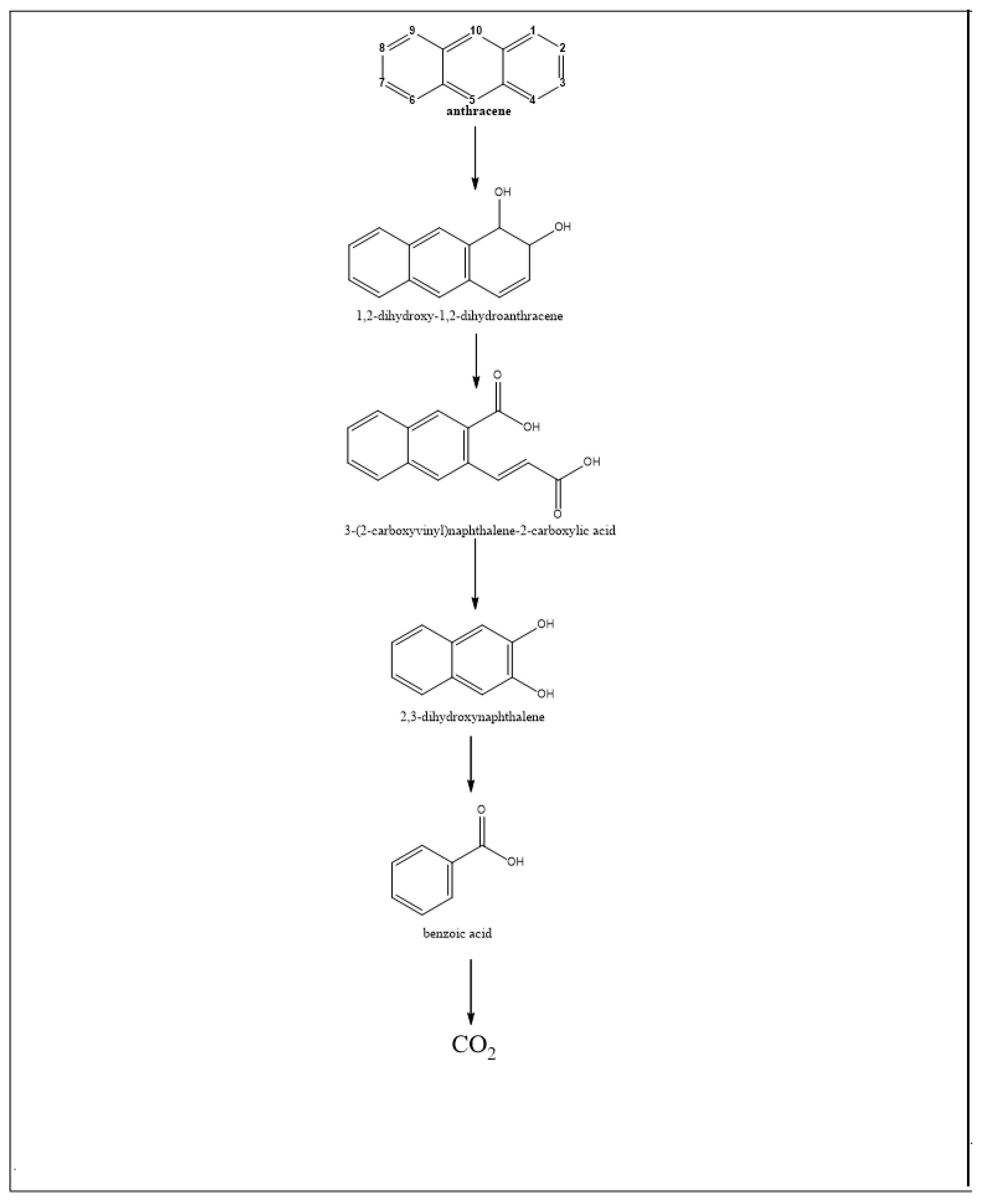Ijerph 15 02782 g006