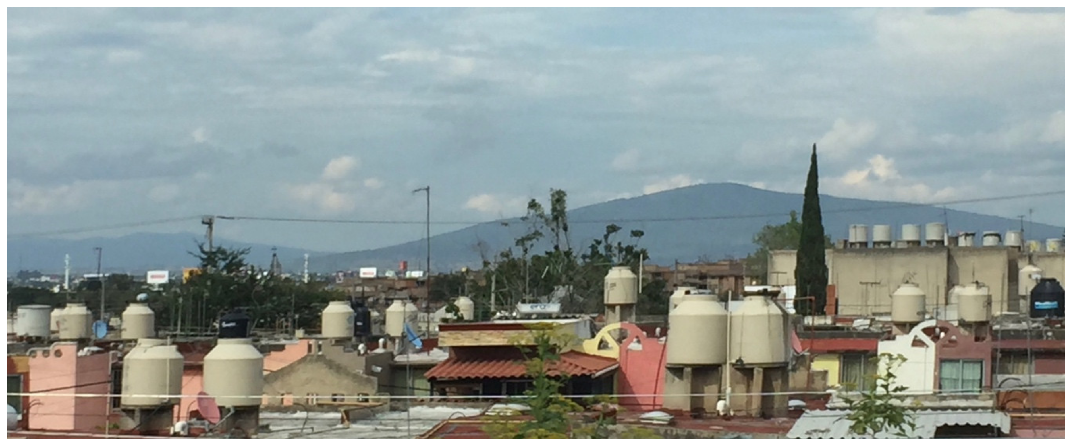 Ijerph 16 00067 g001