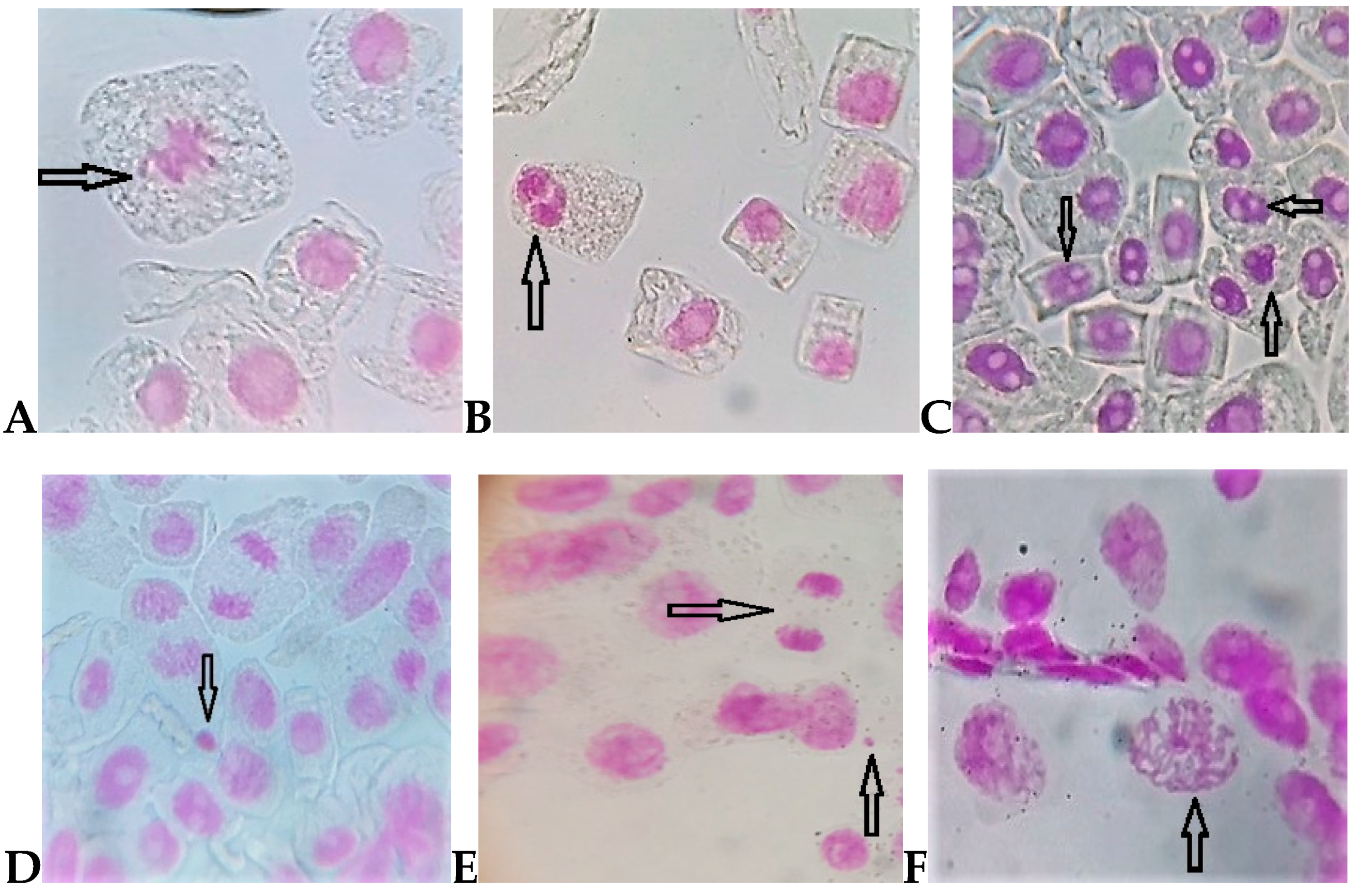 Ijerph 16 00075 g004 Ijerph 16 00075 g004