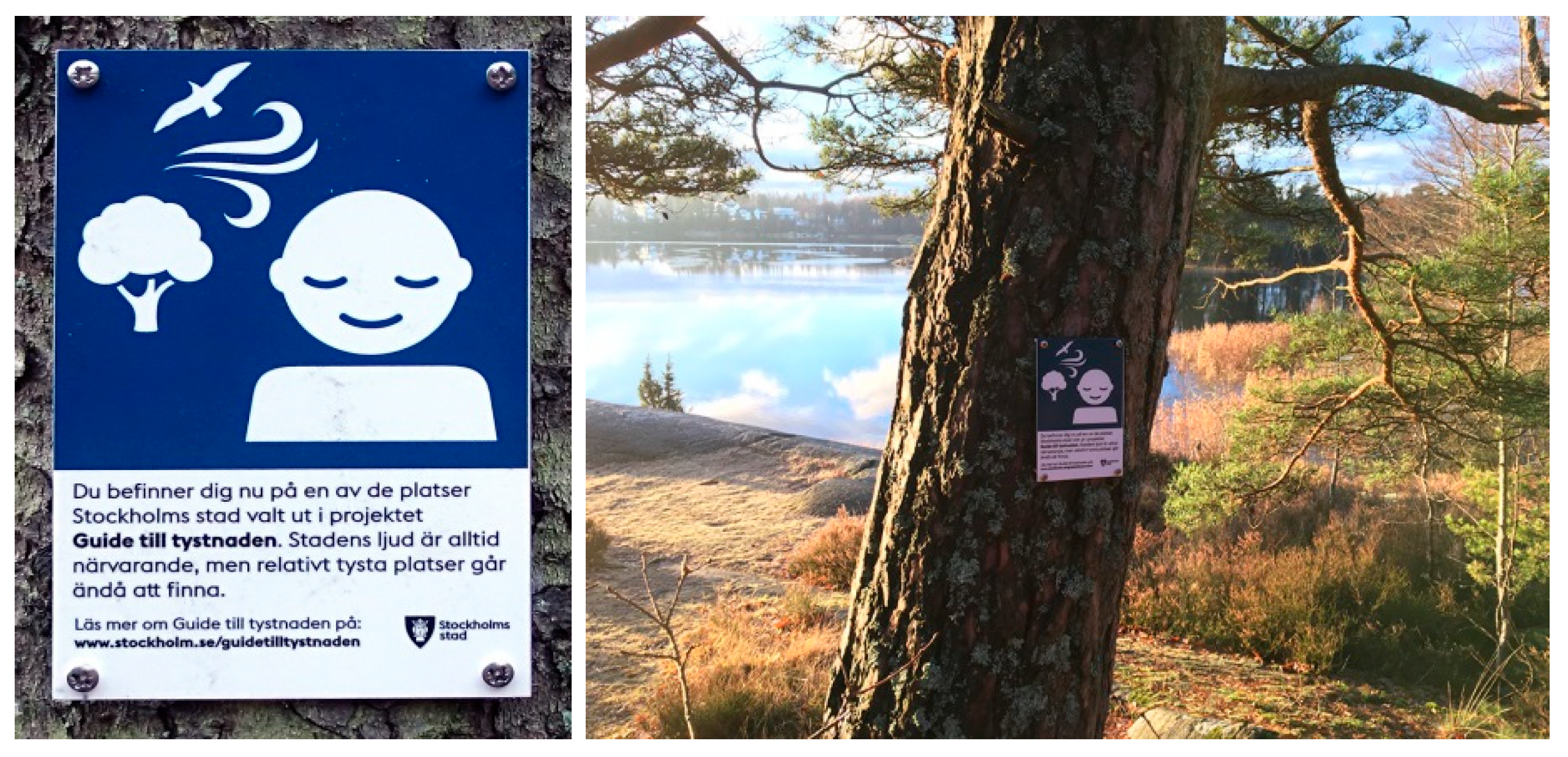 Ijerph 16 00134 g006