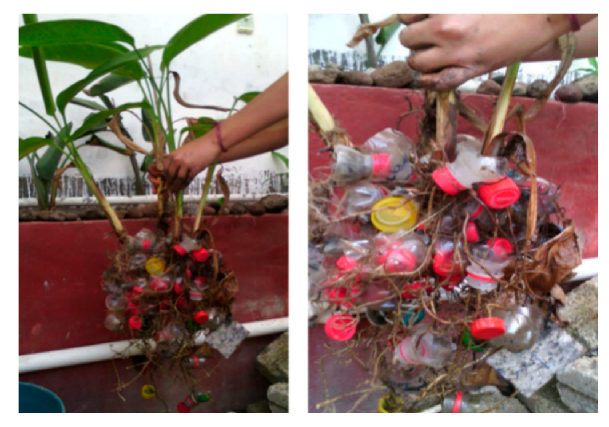 Ijerph 16 00167 g005 Ijerph 16 00167 g005