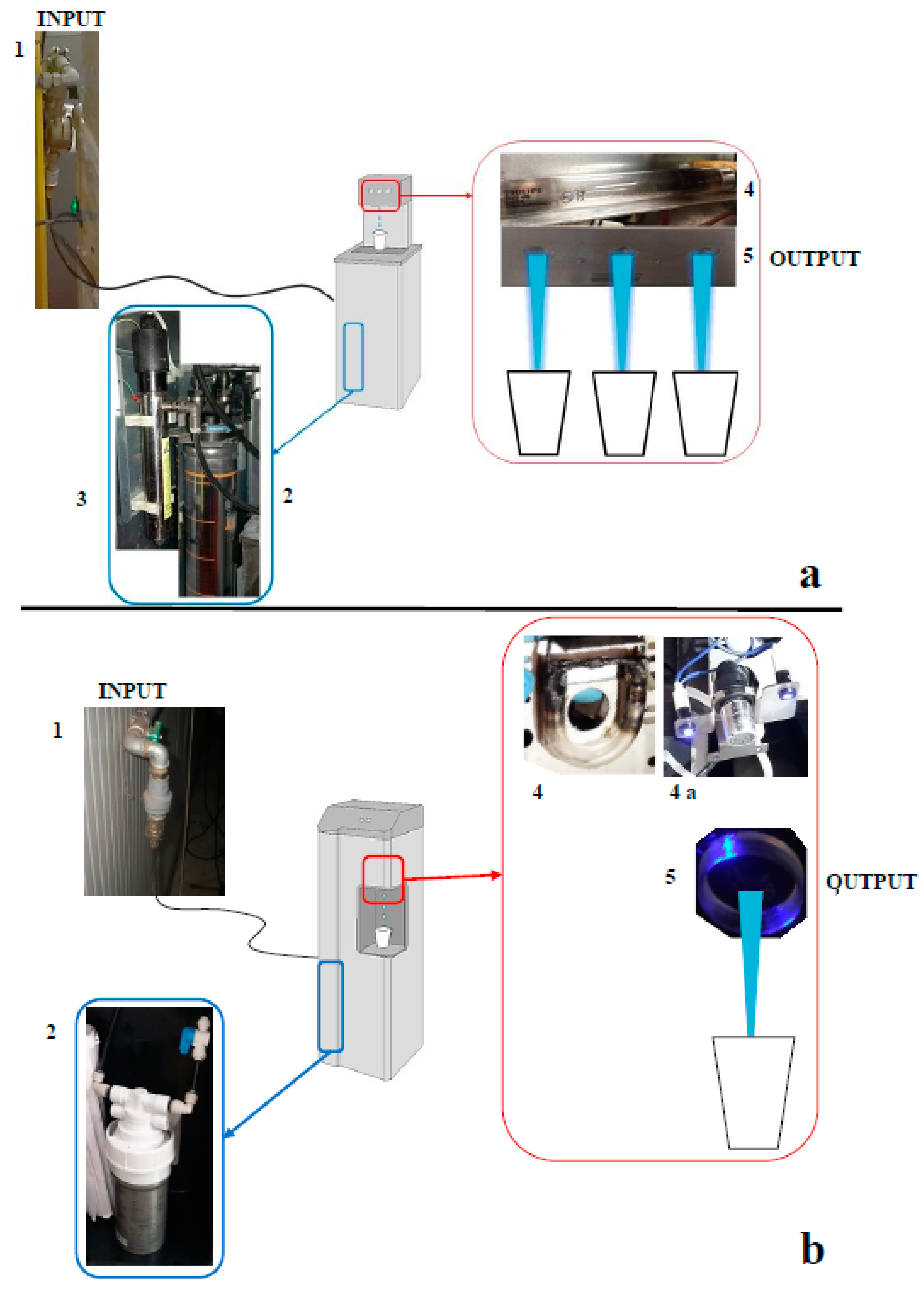 Ijerph 16 00272 g001