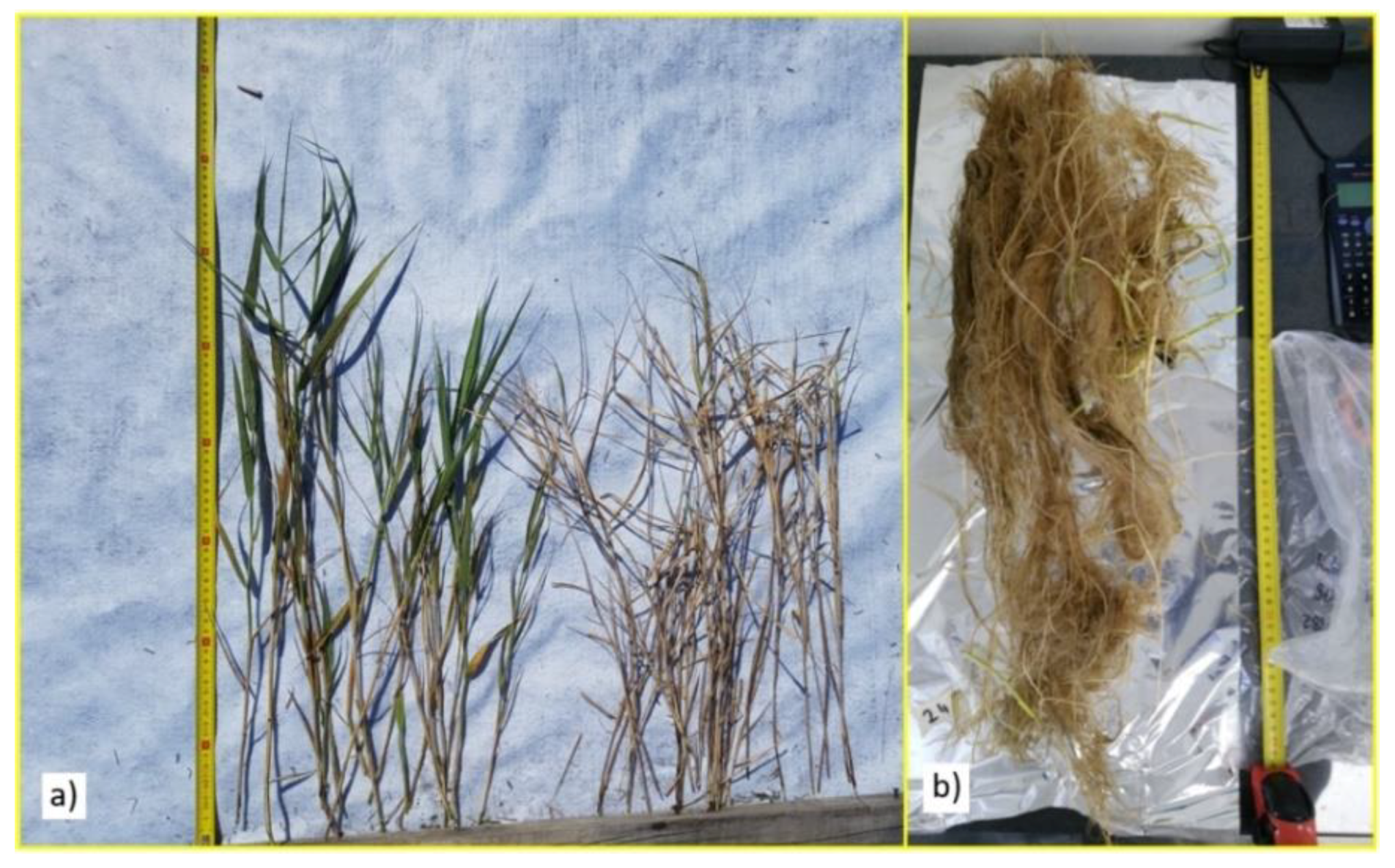 Ijerph 16 00275 g003