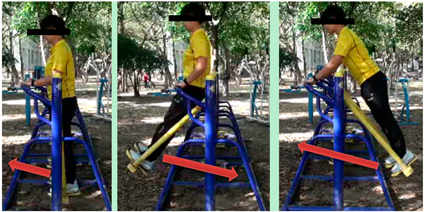 Ijerph 16 00391 i008