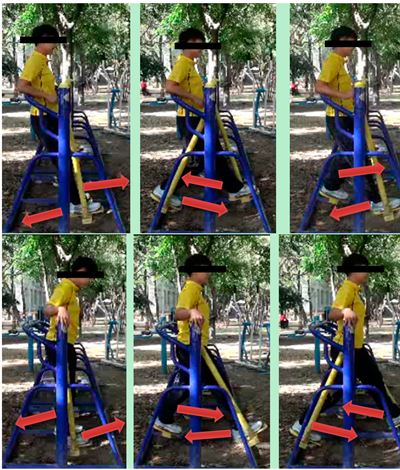 Ijerph 16 00391 i009