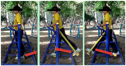 Ijerph 16 00391 i010