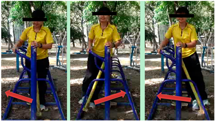 Ijerph 16 00391 i012